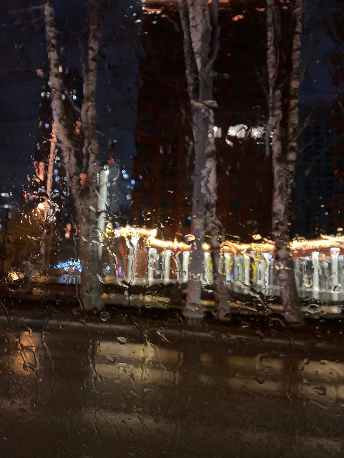 Spring flooding and bare trees documented across Yekaterinburg landmarks