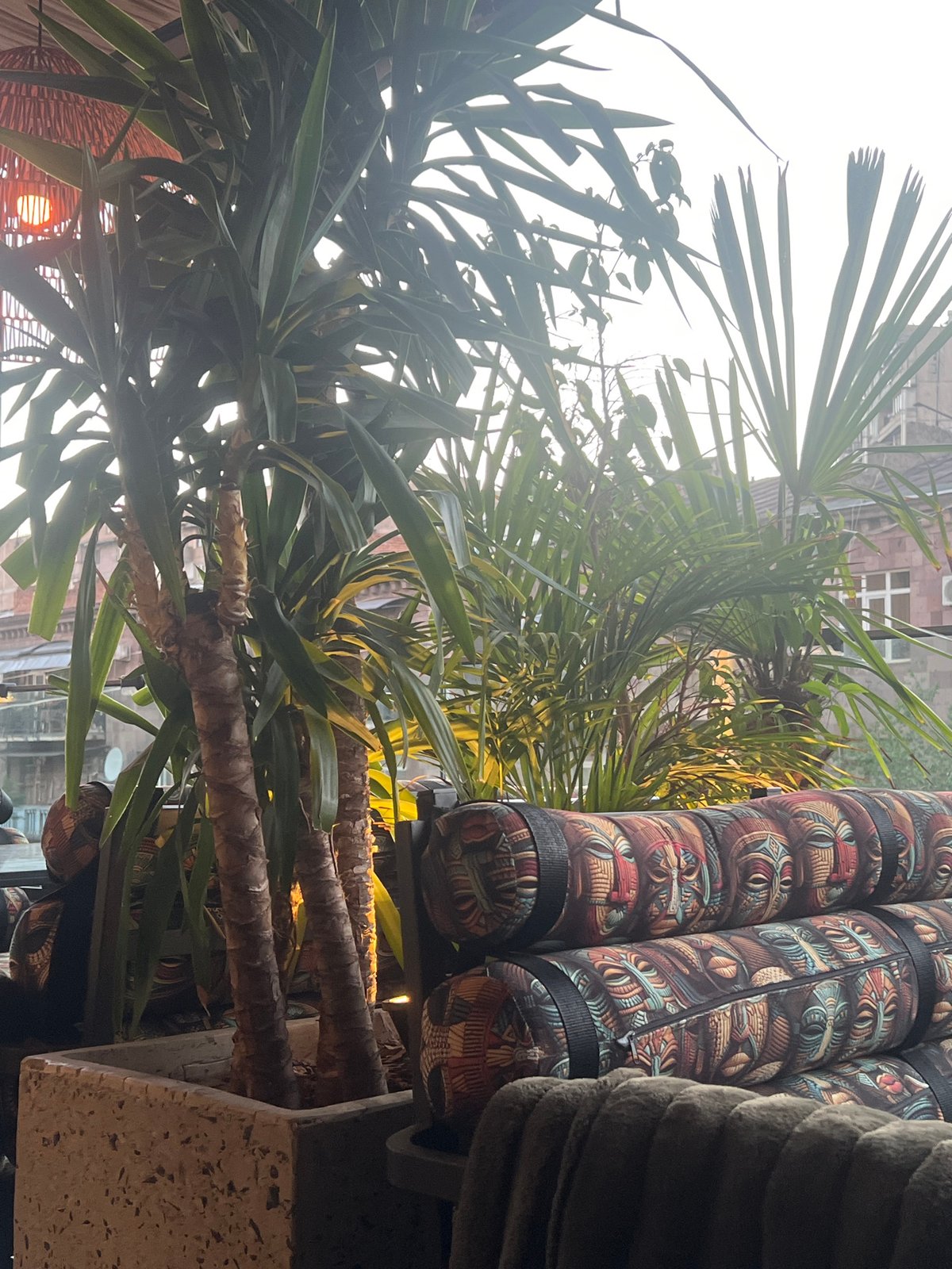 Cafe visit documented through detailed interior observations in Yerevan