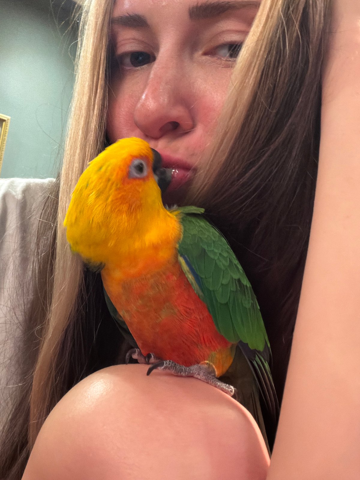 Person shares affectionate moment with vibrant parrot in Khimki