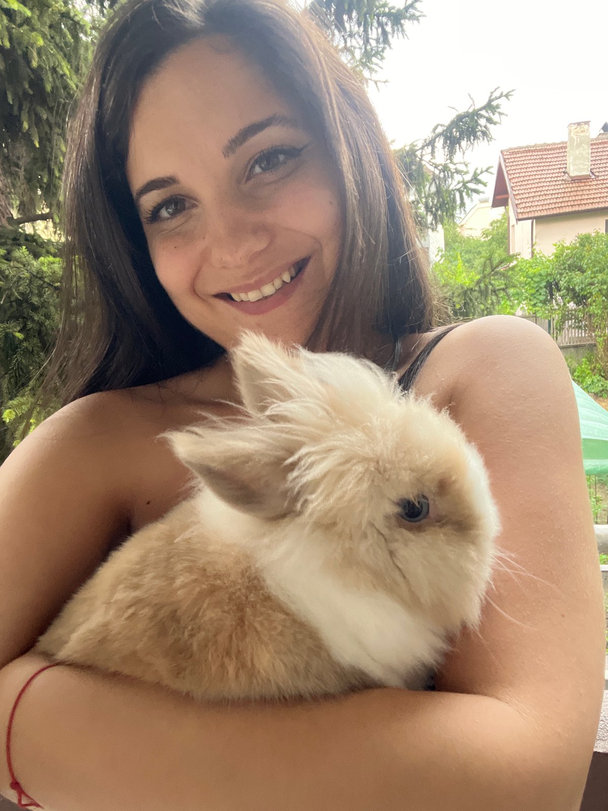 Backyard rabbit hangout in a Sofia garden