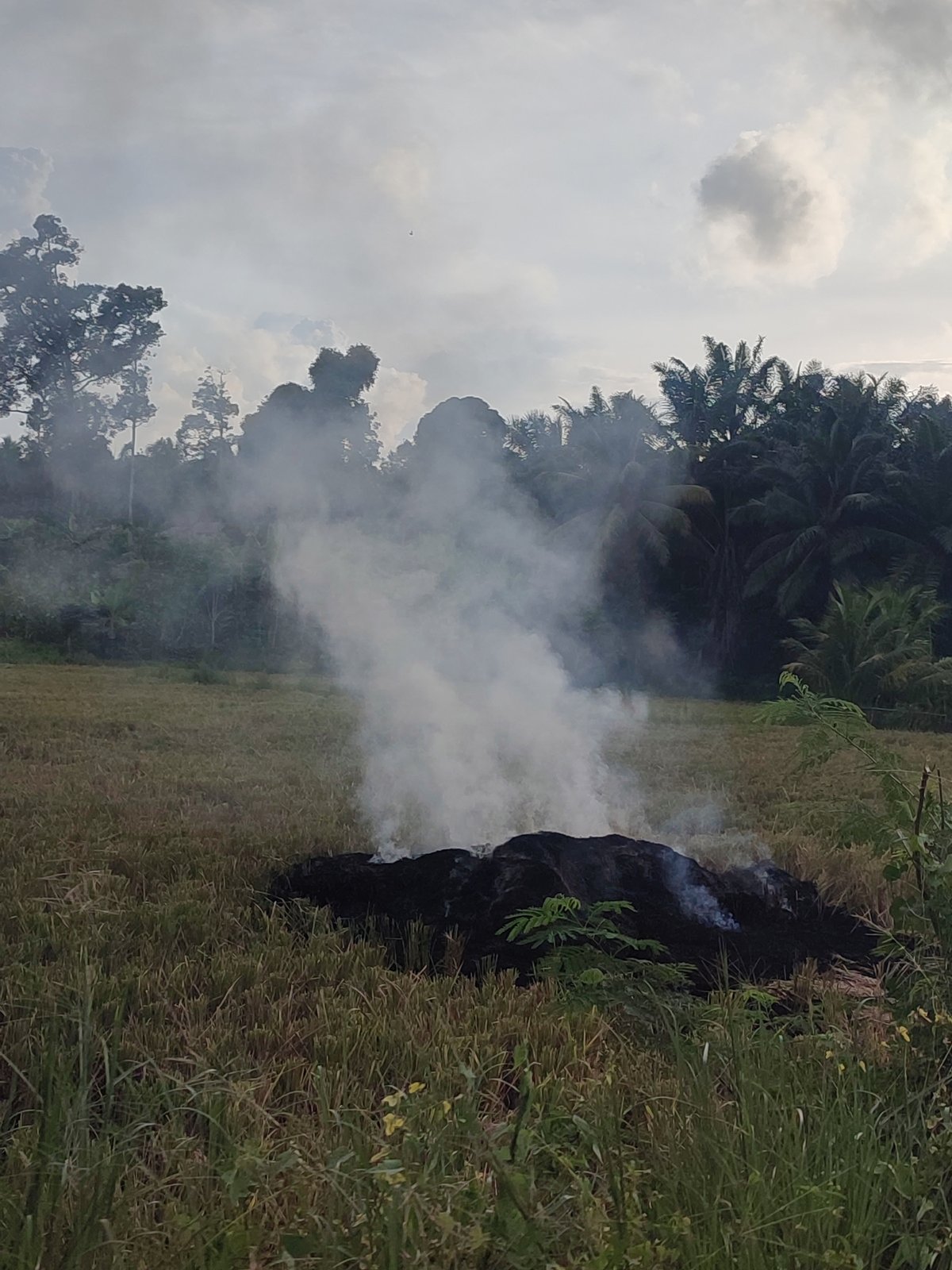 Burning debris spotted in Indonesian field emits smoke