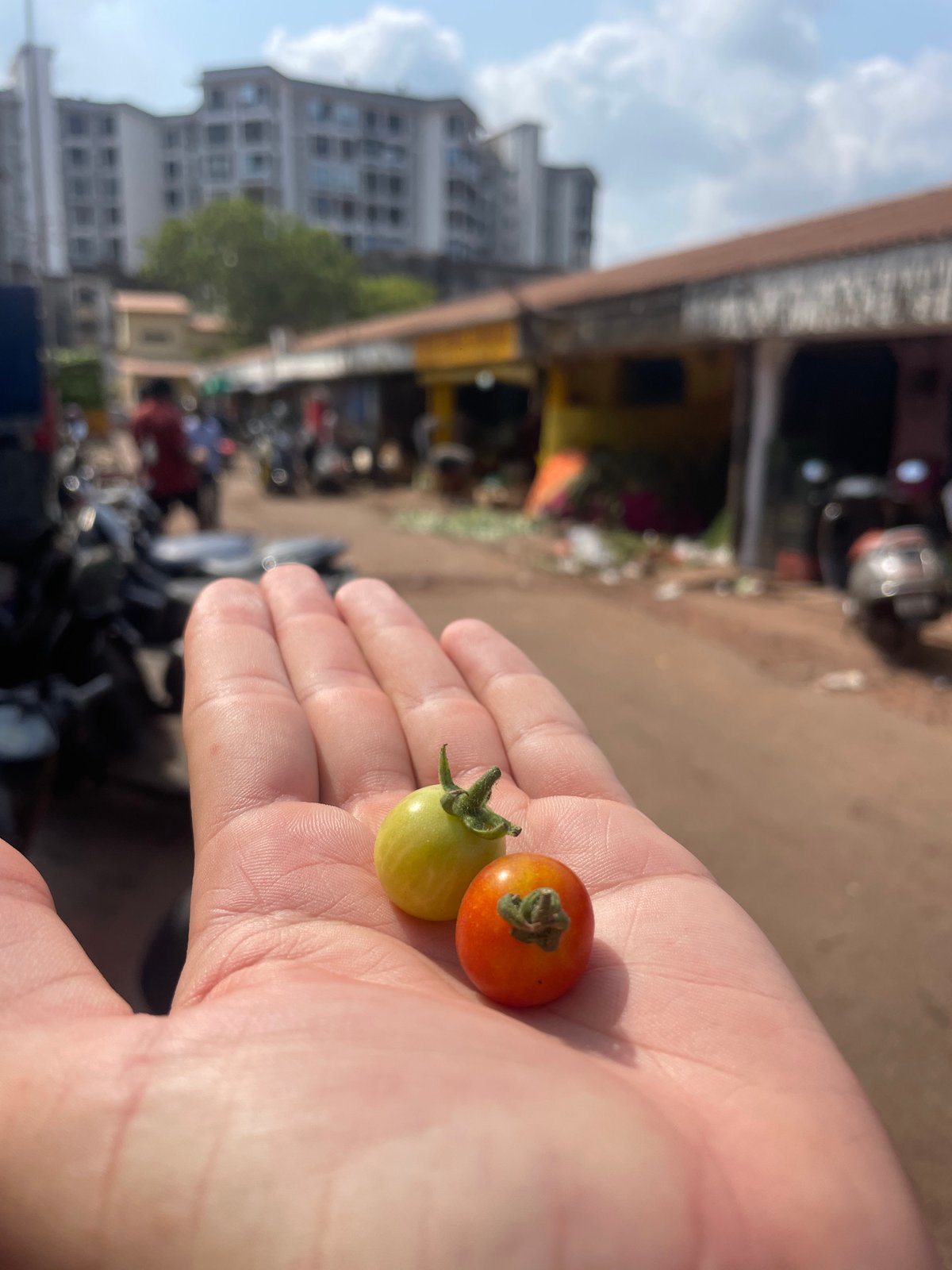 Morning market activity documented in Mapusa, India fruit bazaar