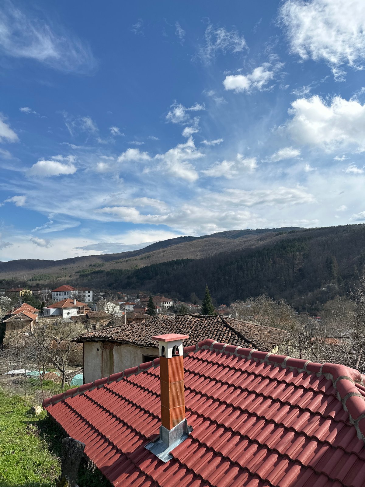 Spring blooms captured in rural Bulgarian village
