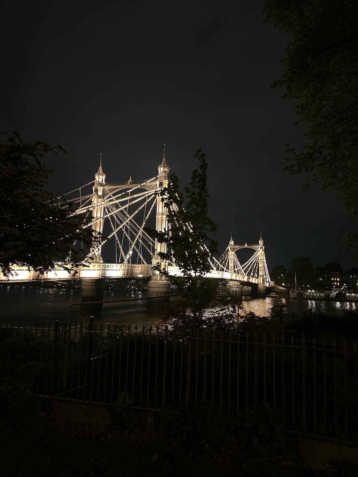 Albert Bridge illuminated at night in London