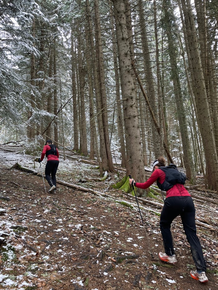 Winter hikers traverse snowy Alpine forests near French villages