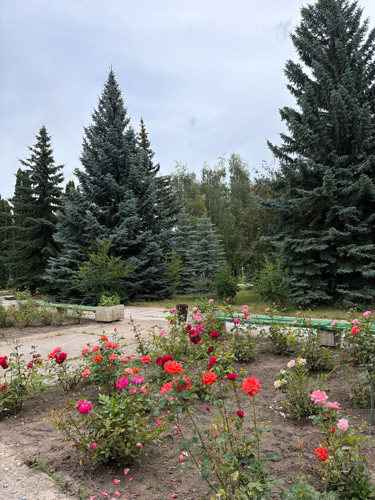Park sculptures and sandy beaches on a summer morning