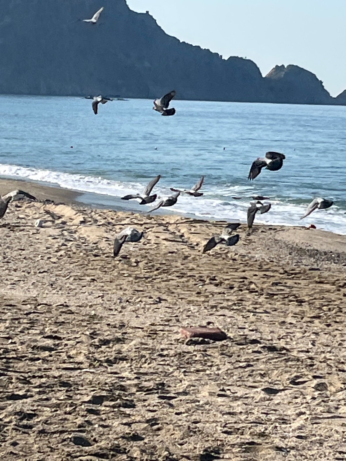 Morning scenes captured along Alanya beachfront and promenade