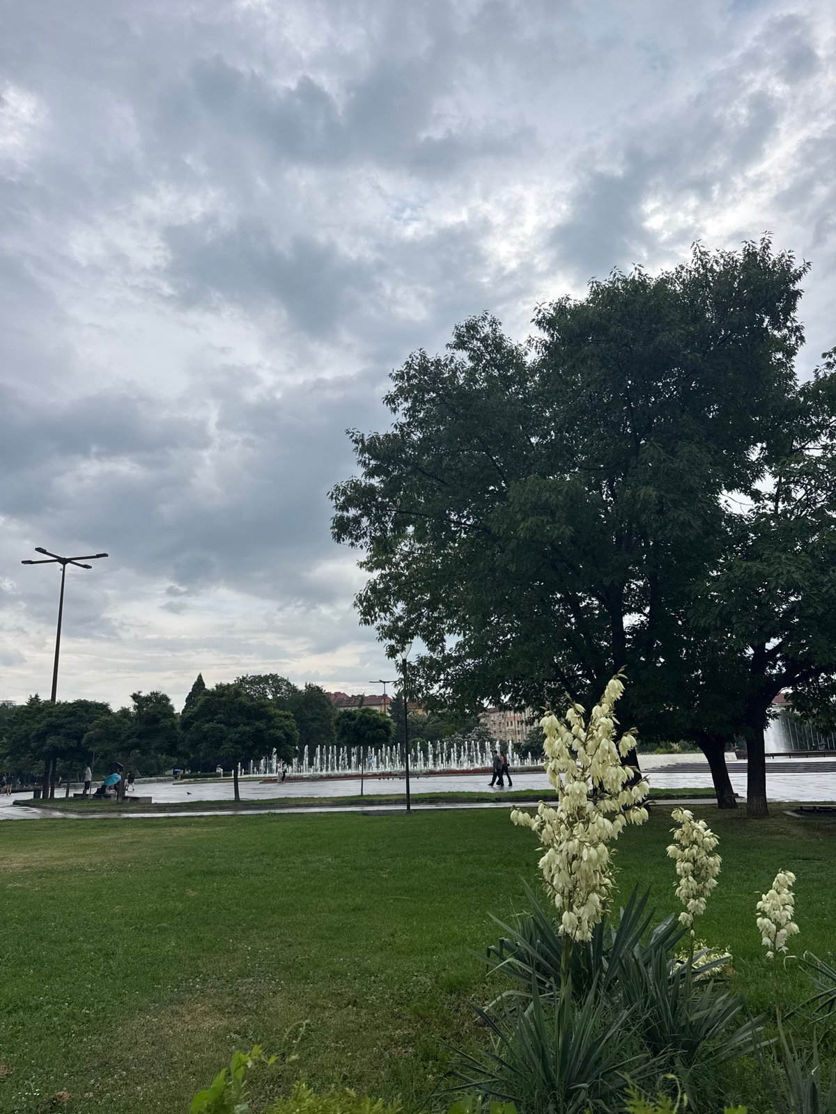 A relaxed afternoon of food, wine, and sightseeing in Sofia