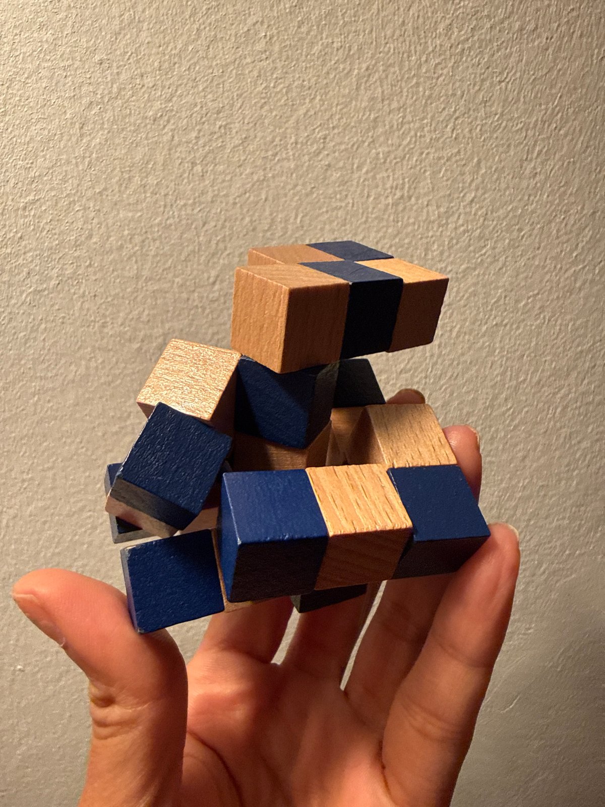 Barcelona resident spends evening cooking, puzzle-solving, and cat grooming