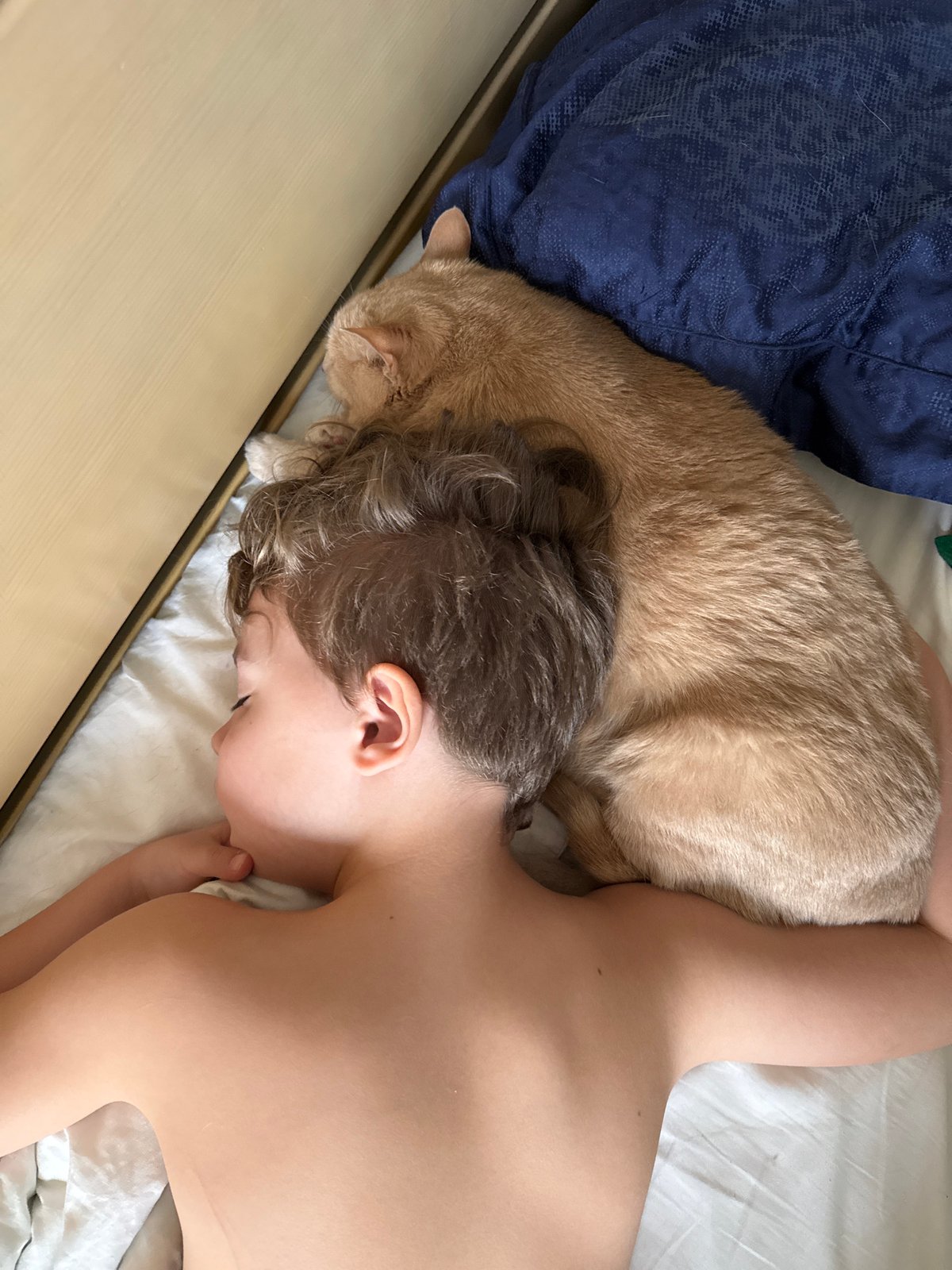 Child and cat share peaceful sleep in Krasnoyarsk