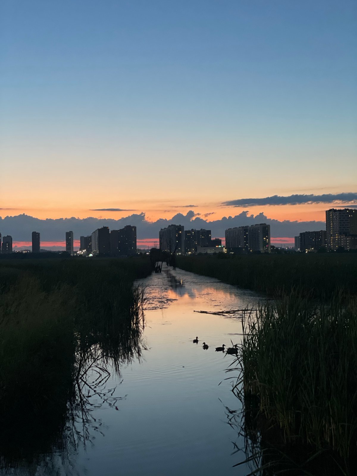 Cats, dusk skies, and a quiet evening in at home