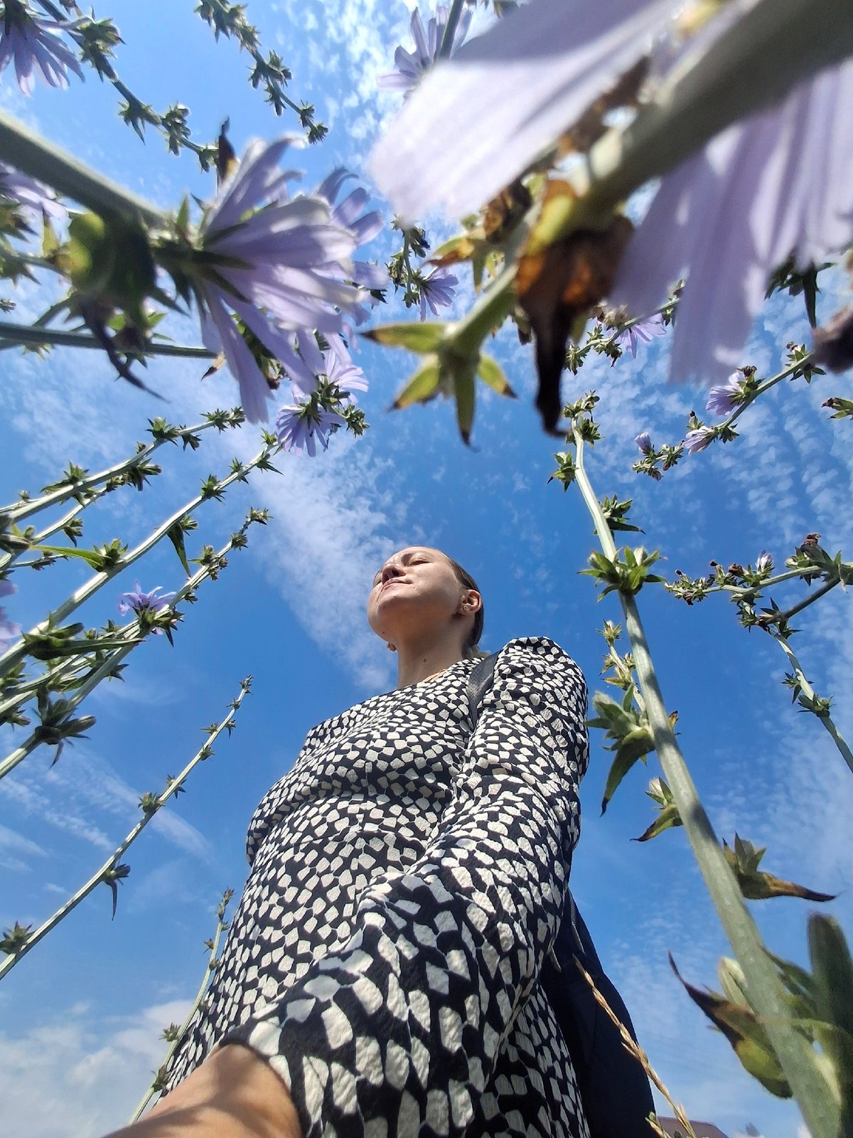 Summer morning in Chaikovsky: wildflowers, open sky, breakfast