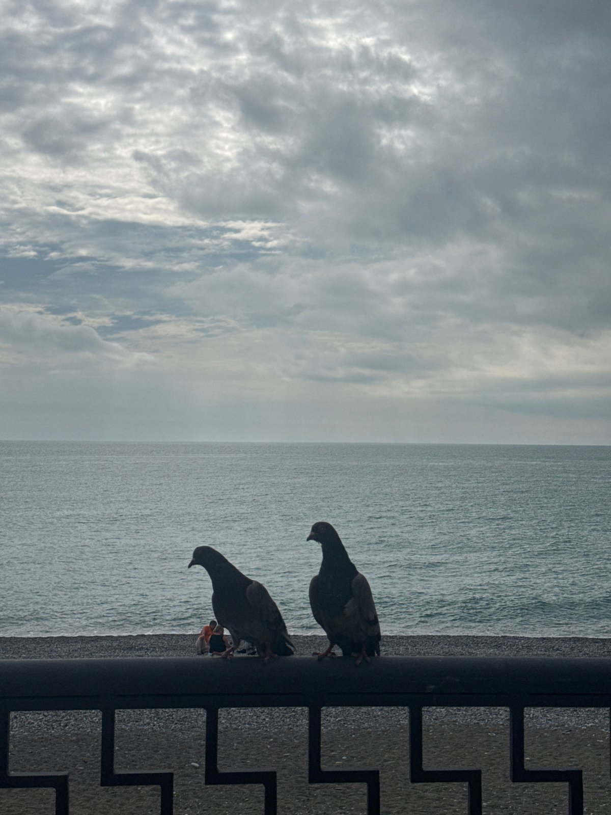 Casual scenes documented across seaside Gagra, Abkhazia