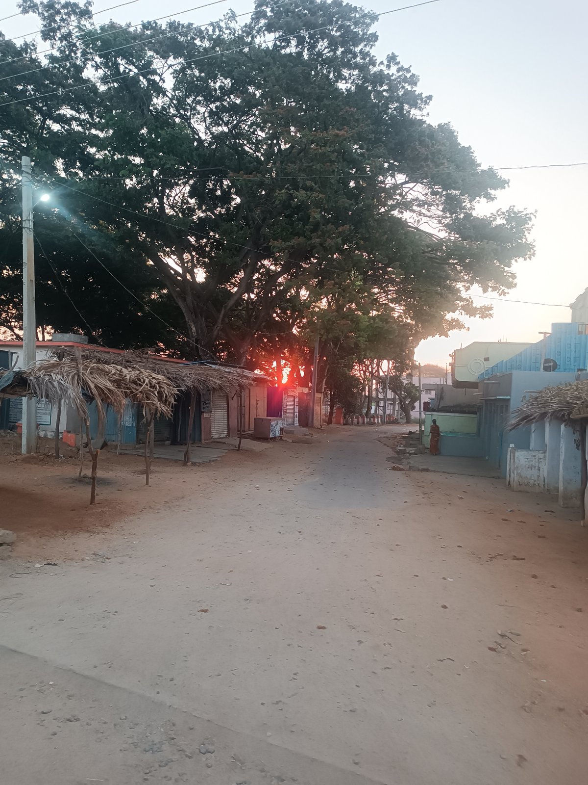 Rural street bathed in warm sunrise or sunset light