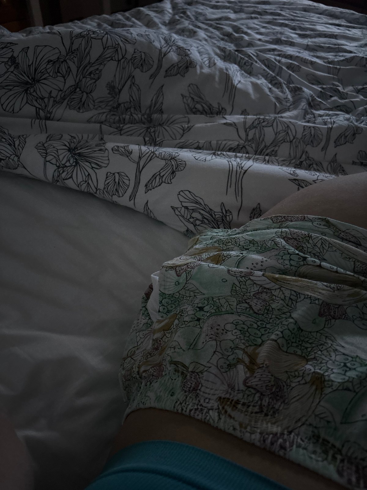 Evening domestic moments documented in Kyustendil bedroom and surroundings