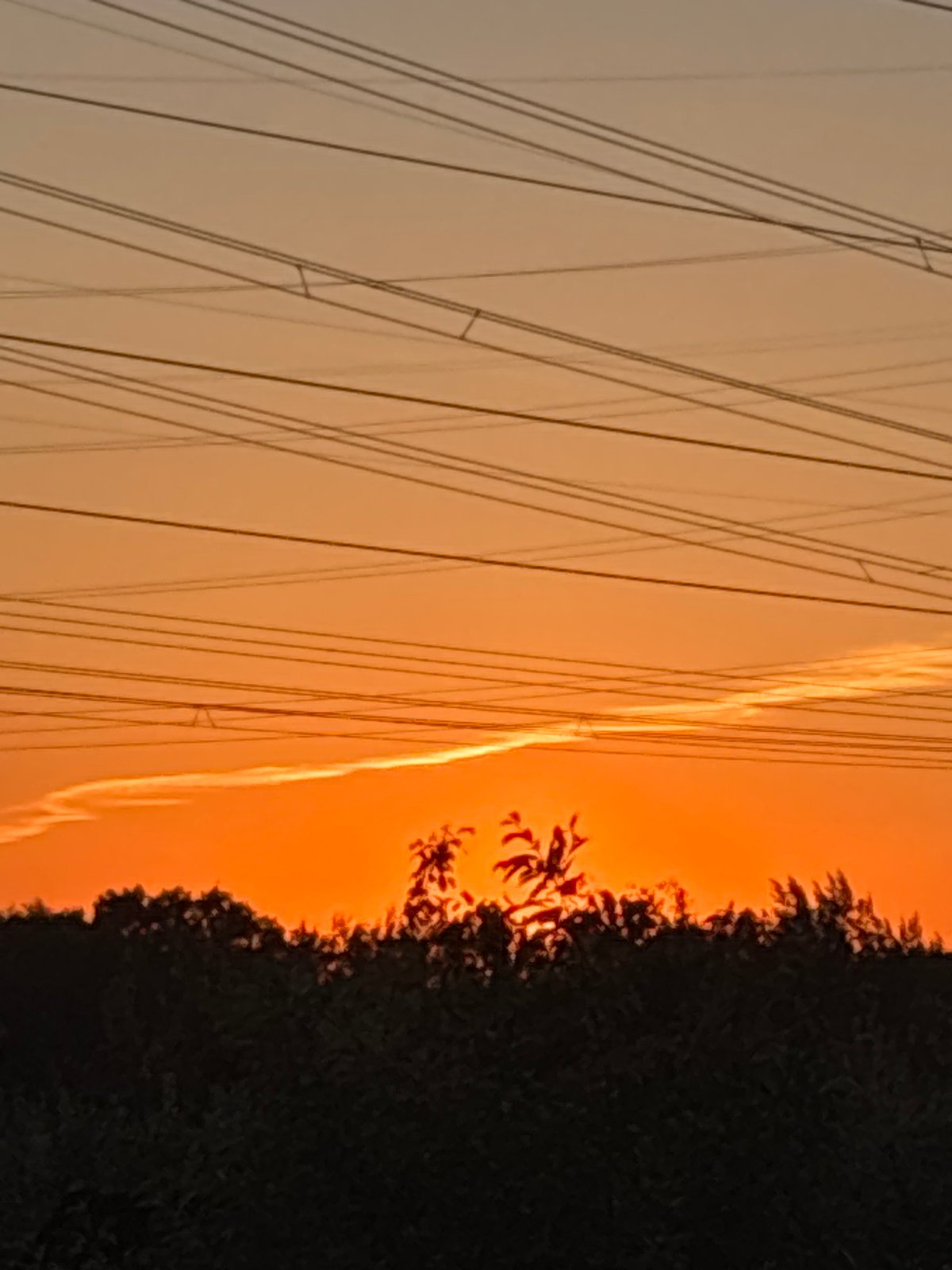 Sunset observed over power lines in Chaikovsky, Russia