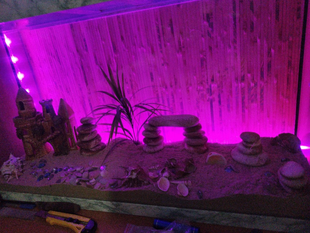 Tiny decorated aquarium glowing under colorful light