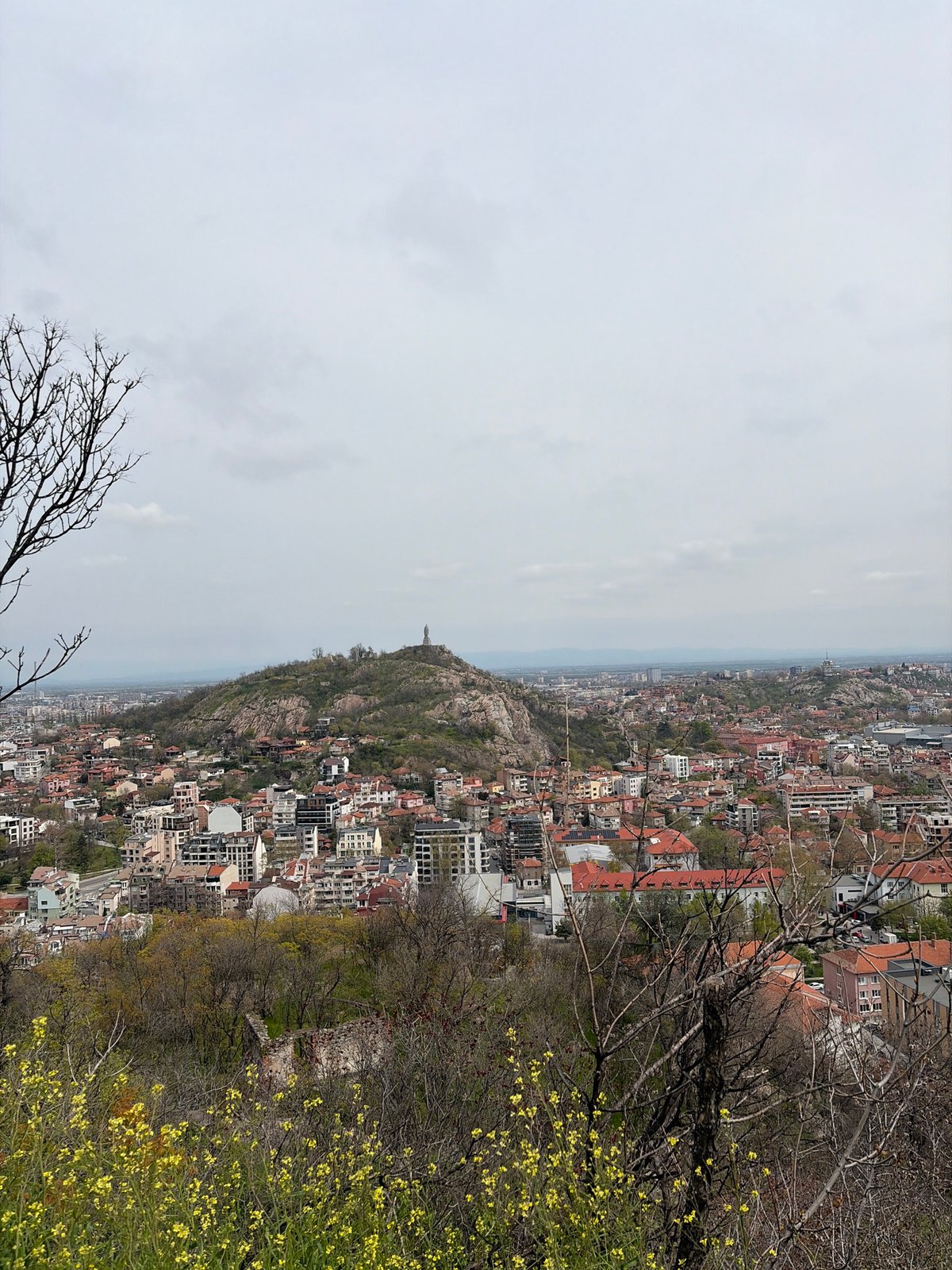 Spring morning photography session captures Plovdiv cityscape and wildflowers