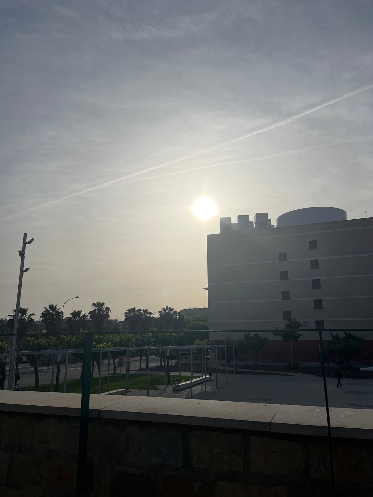 Everyday moments documented across València during spring afternoon