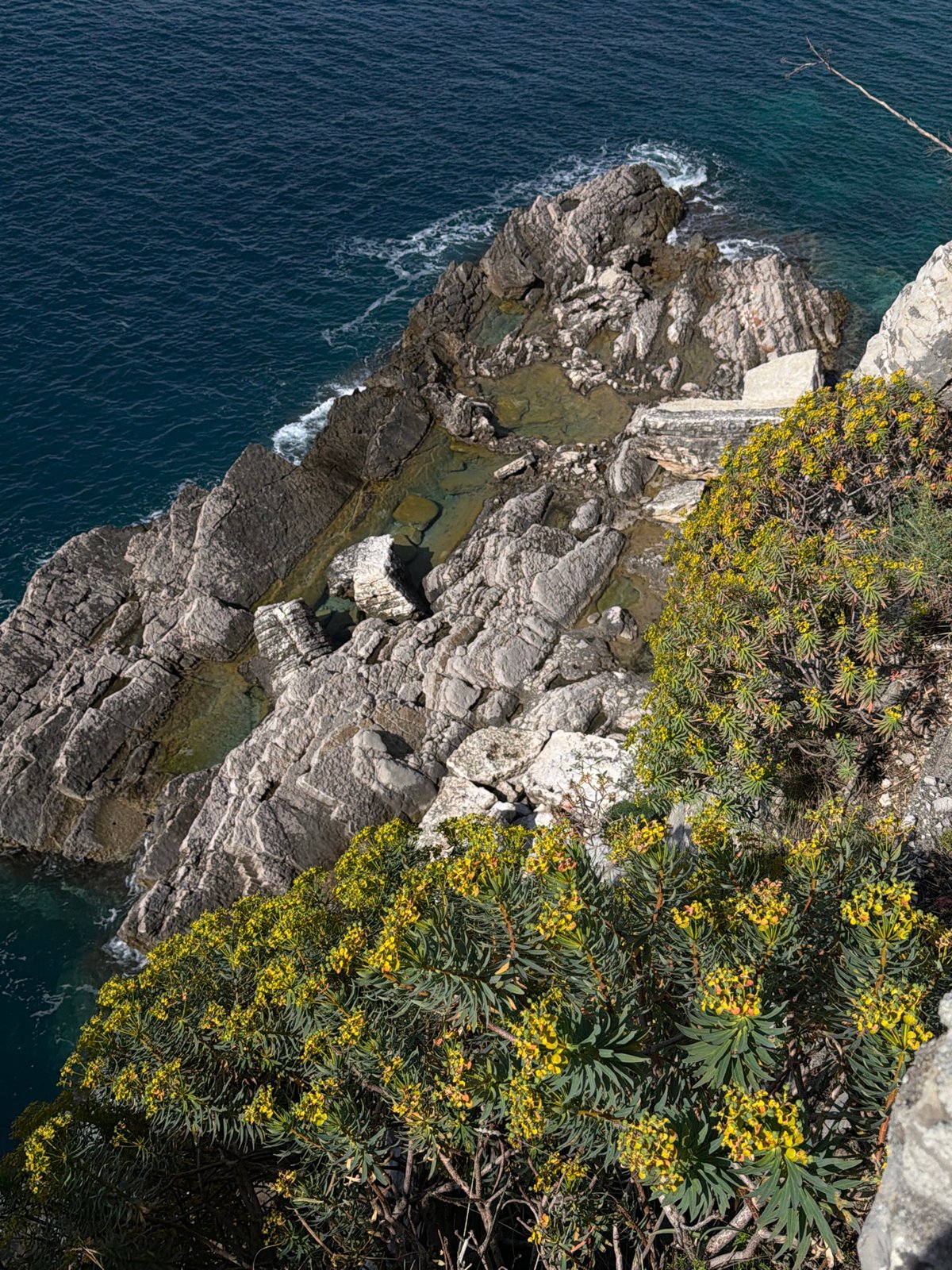 Aerial view captures Montenegro coastal landscape at Kaluđerac