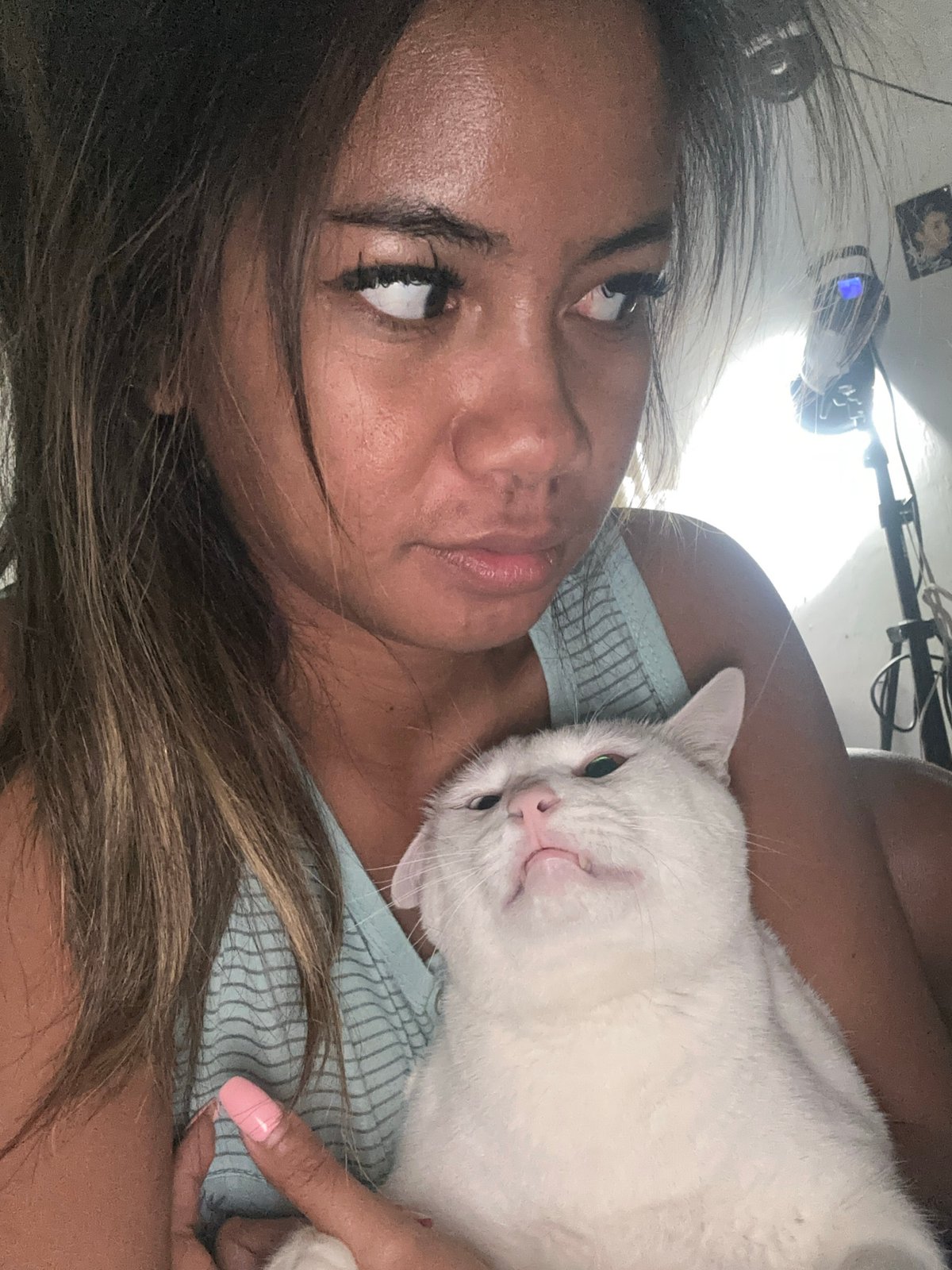 Person shares quiet morning moments with white cat in Jakarta