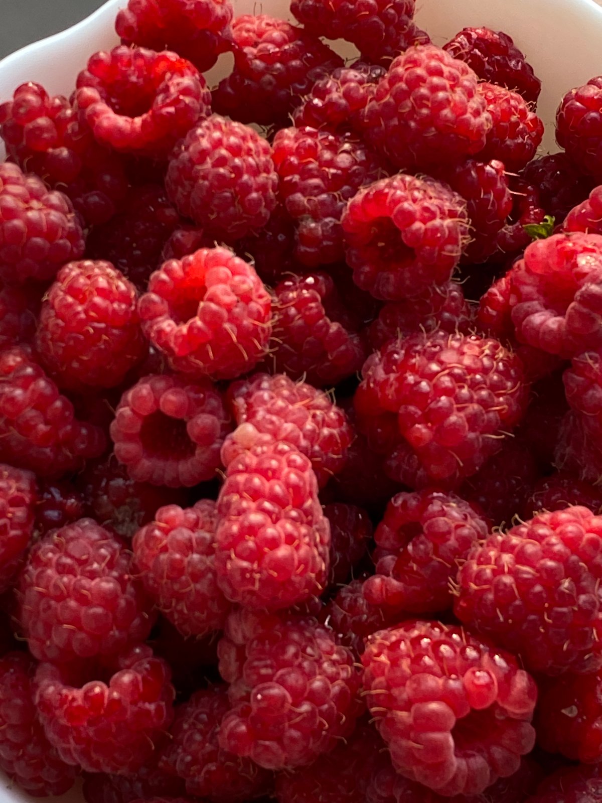 Summer fruit moments in Chaikovsky, Russia