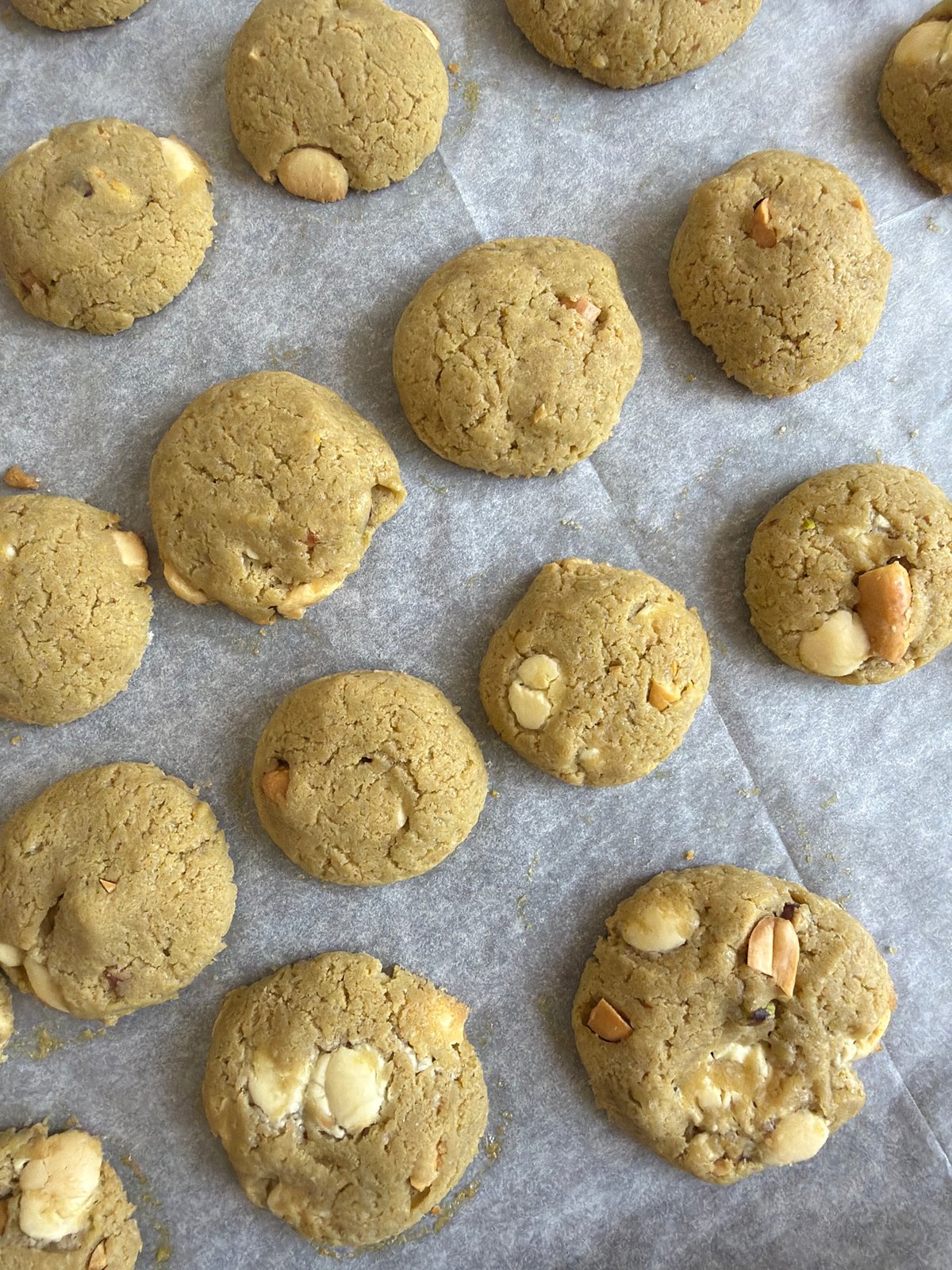 Baking and downtime with a dog on a Tel Aviv morning