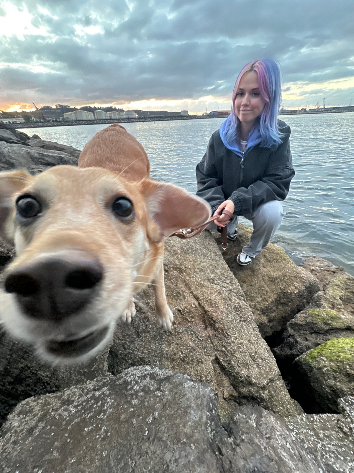 Woman walks dog along Gijón waterfront at sunset