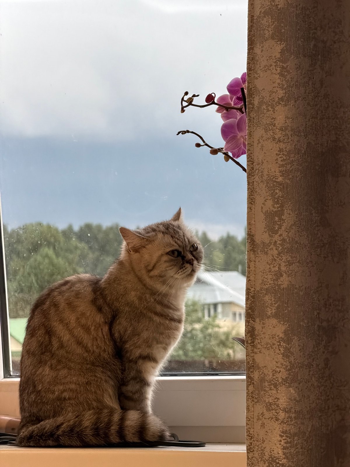 Lazy summer afternoon in Chaikovsky: cat, watermelon, silly faces