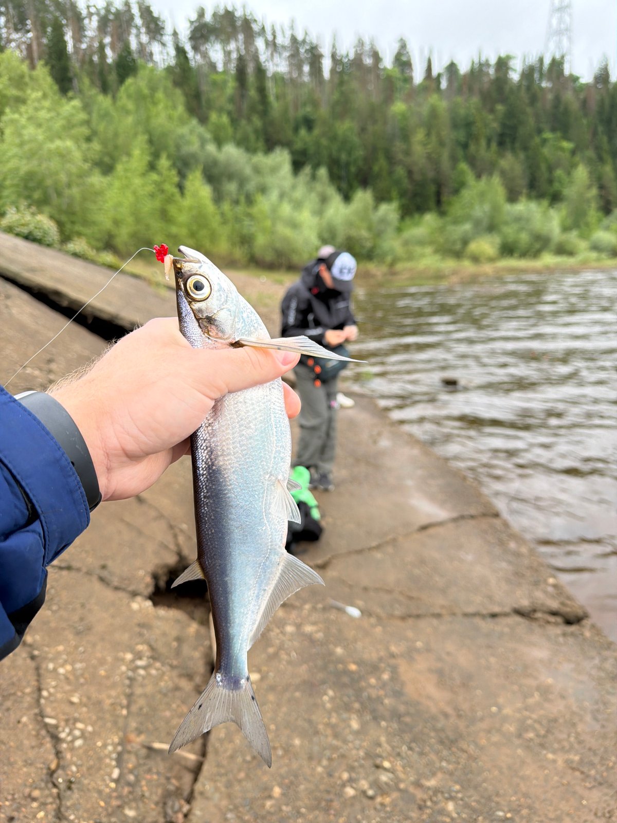 Early morning fishing observed along Chaikovsky embankment