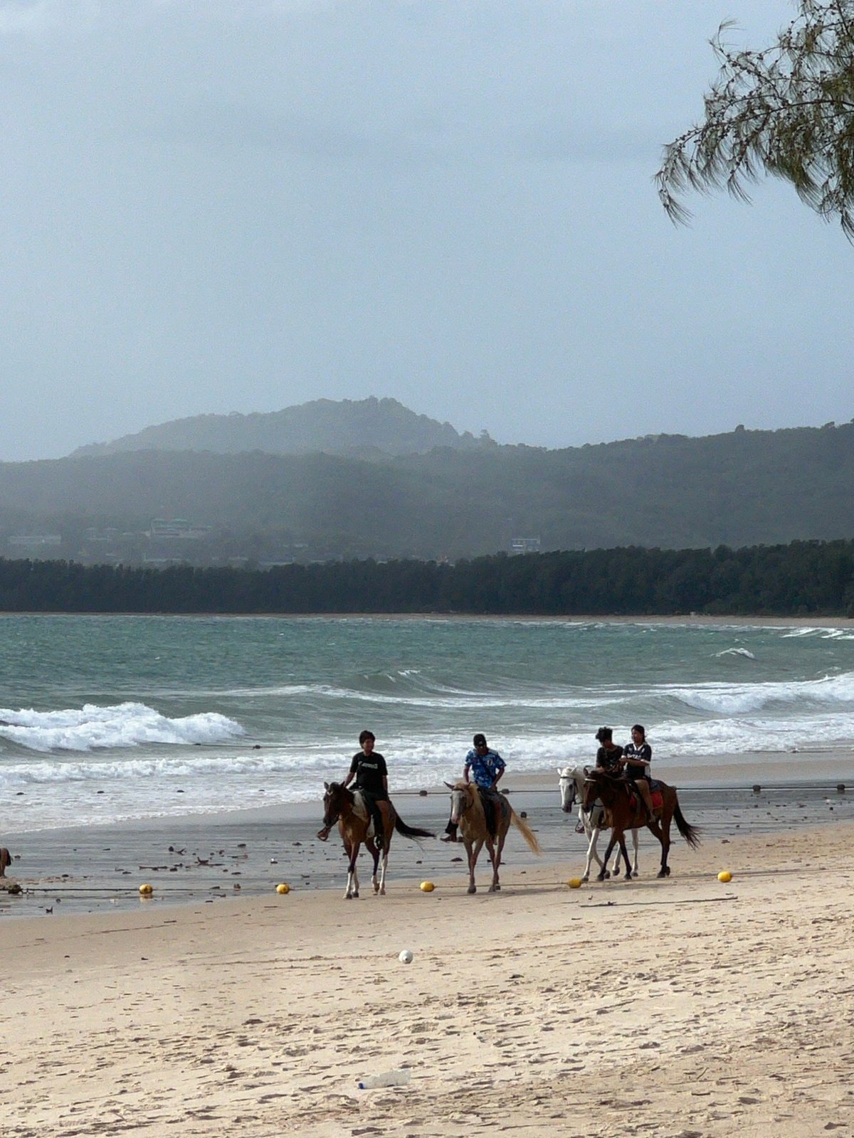 Beach horseback riding and swimming activity documented at coastal resort