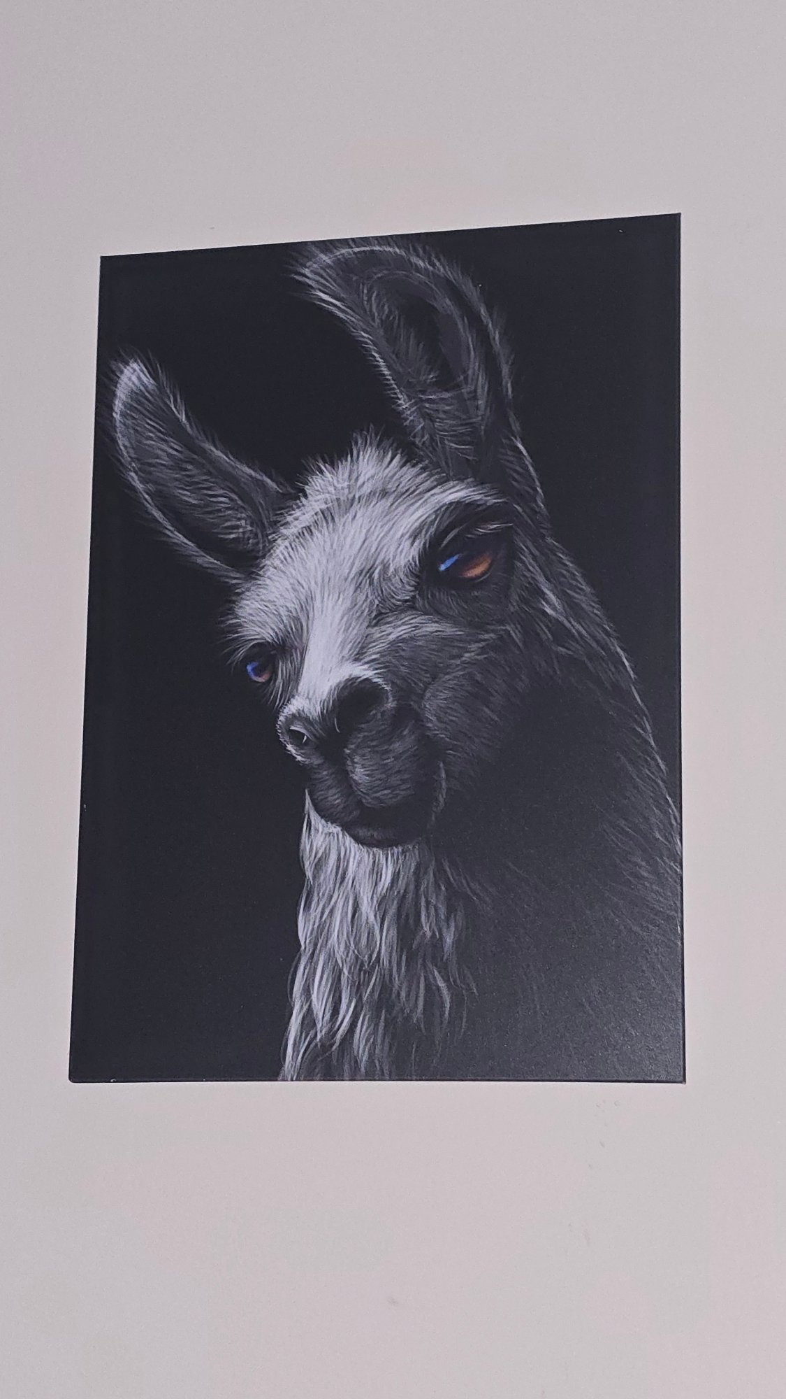Dog portrait artwork spotted on indoor wall
