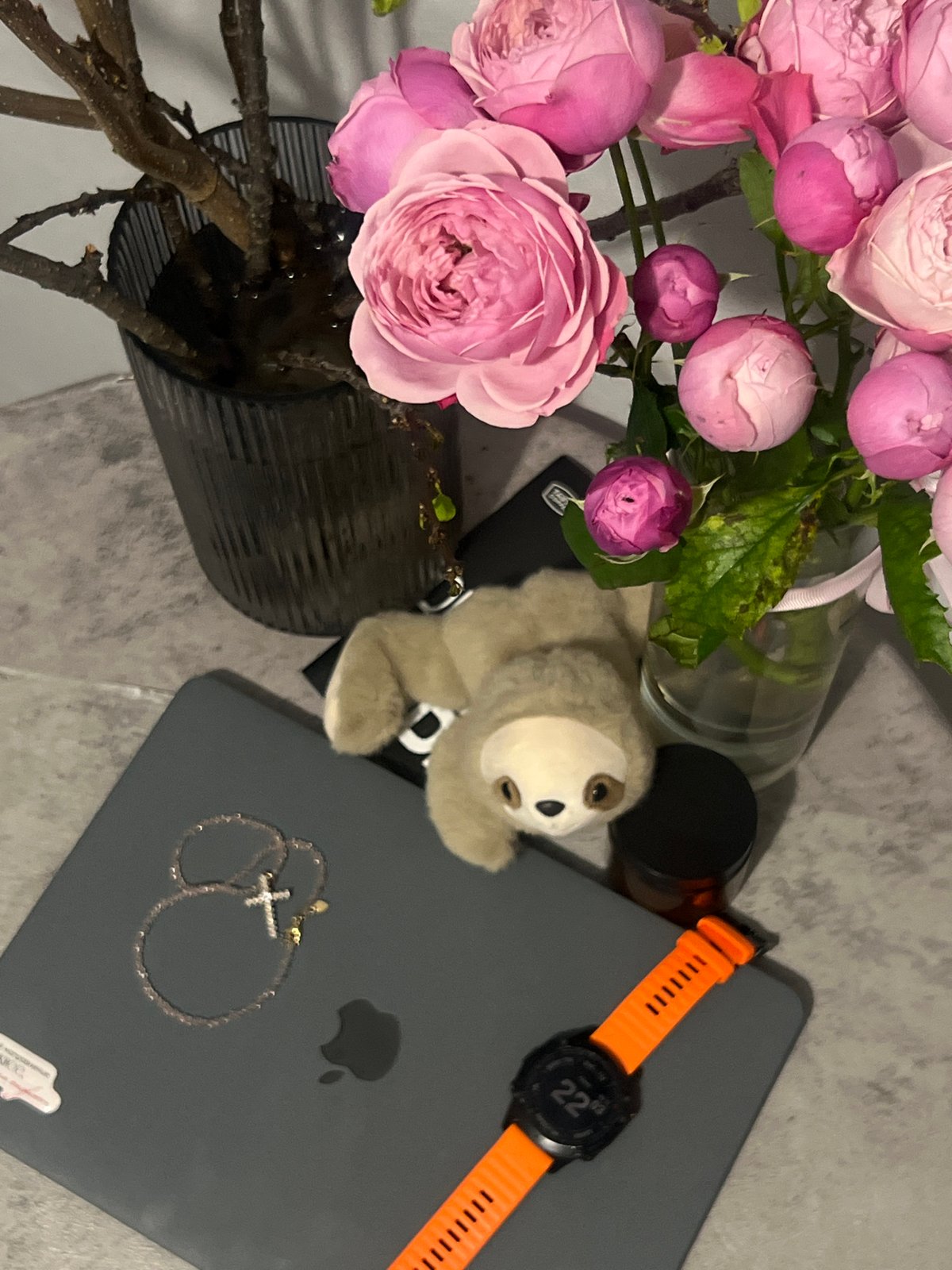 Domestic scene with cat, flowers, laptop documented in Kazan