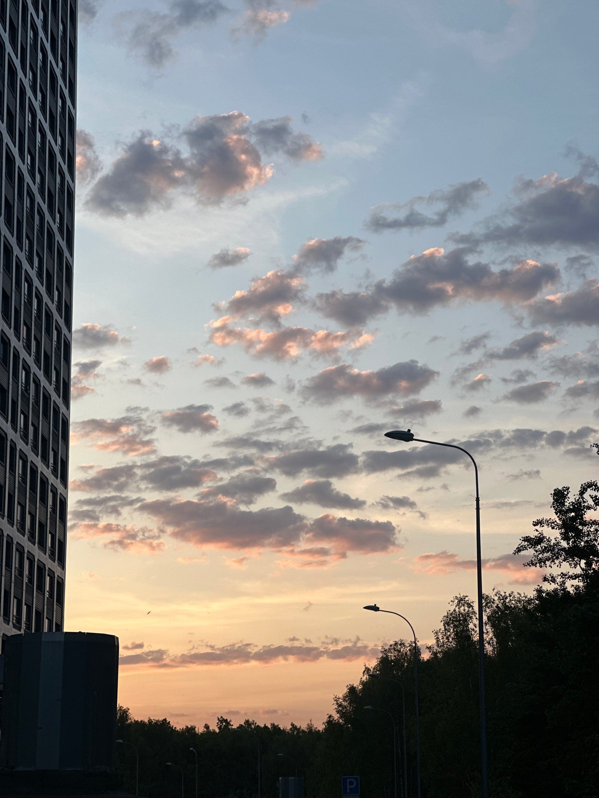 Sunset with pink-gray clouds observed over urban street scene