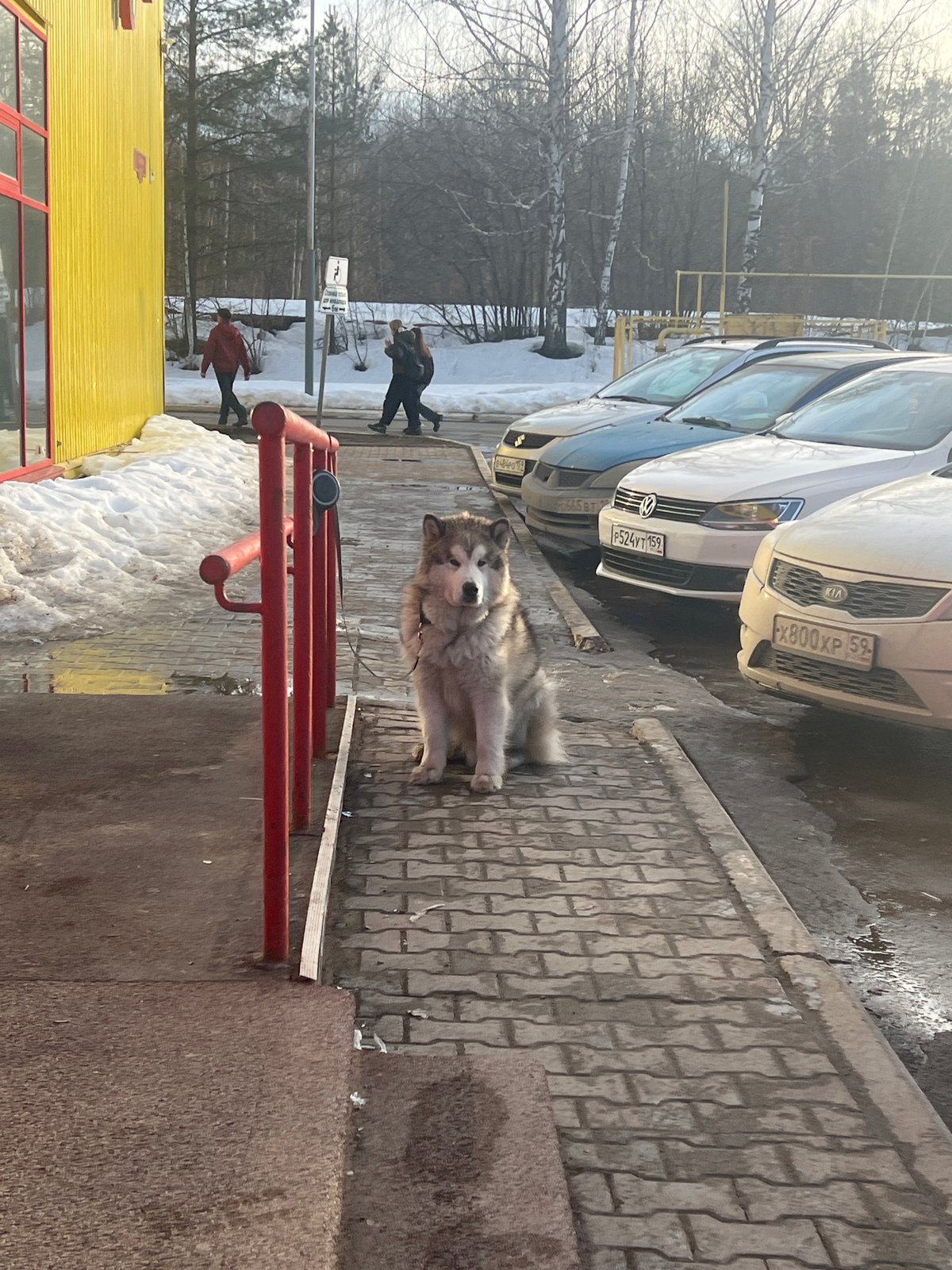 Daily life documented across Chaikovsky, Russia during spring afternoon