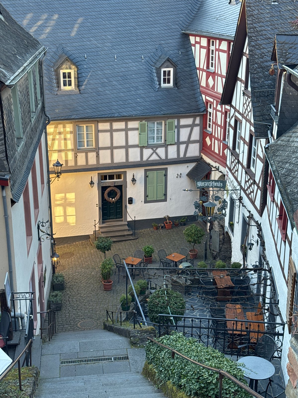 White swan nesting and swimming observed in Beilstein, Germany