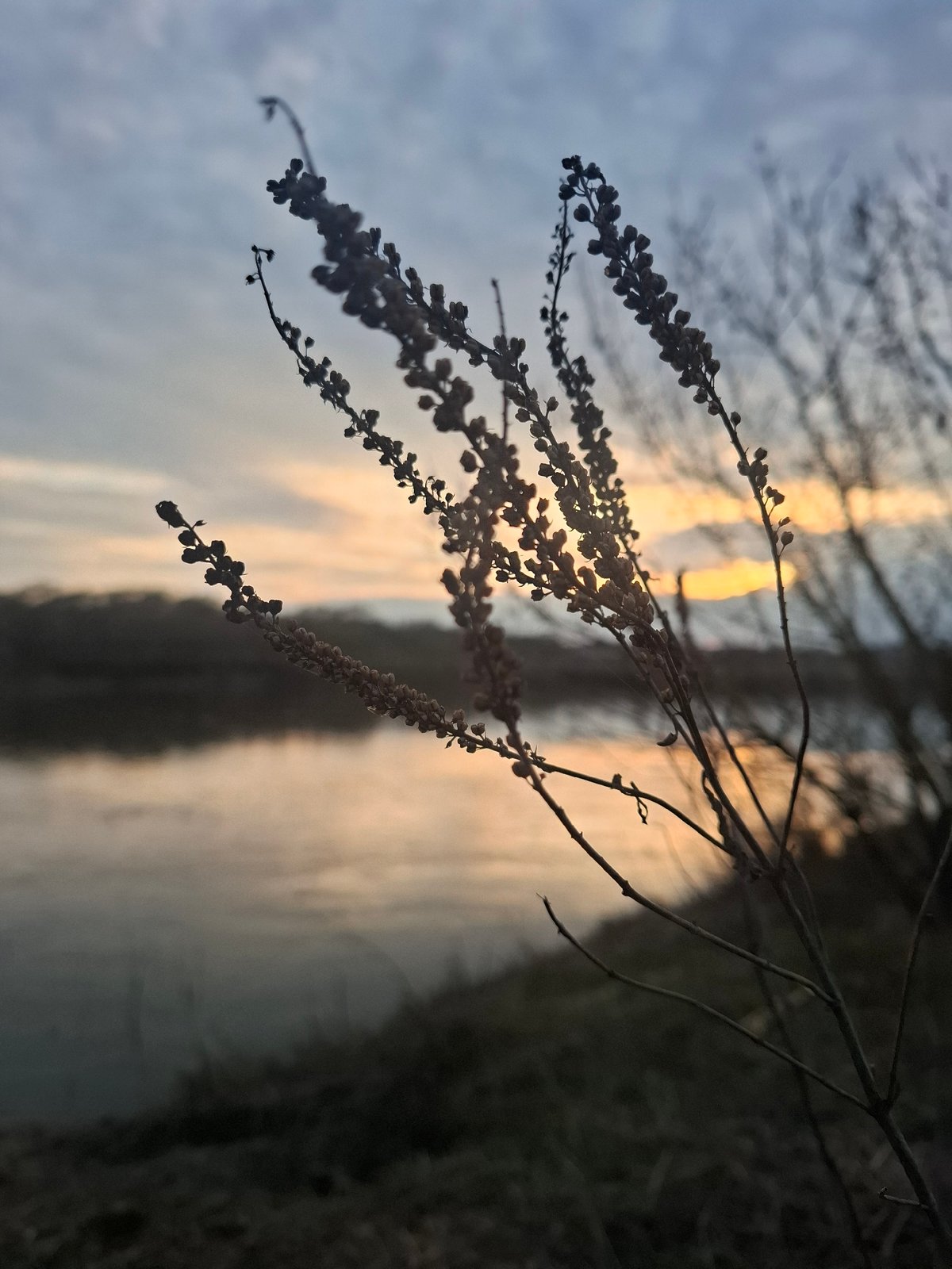 Spring nature observations documented across rural Дерезовка, Russia