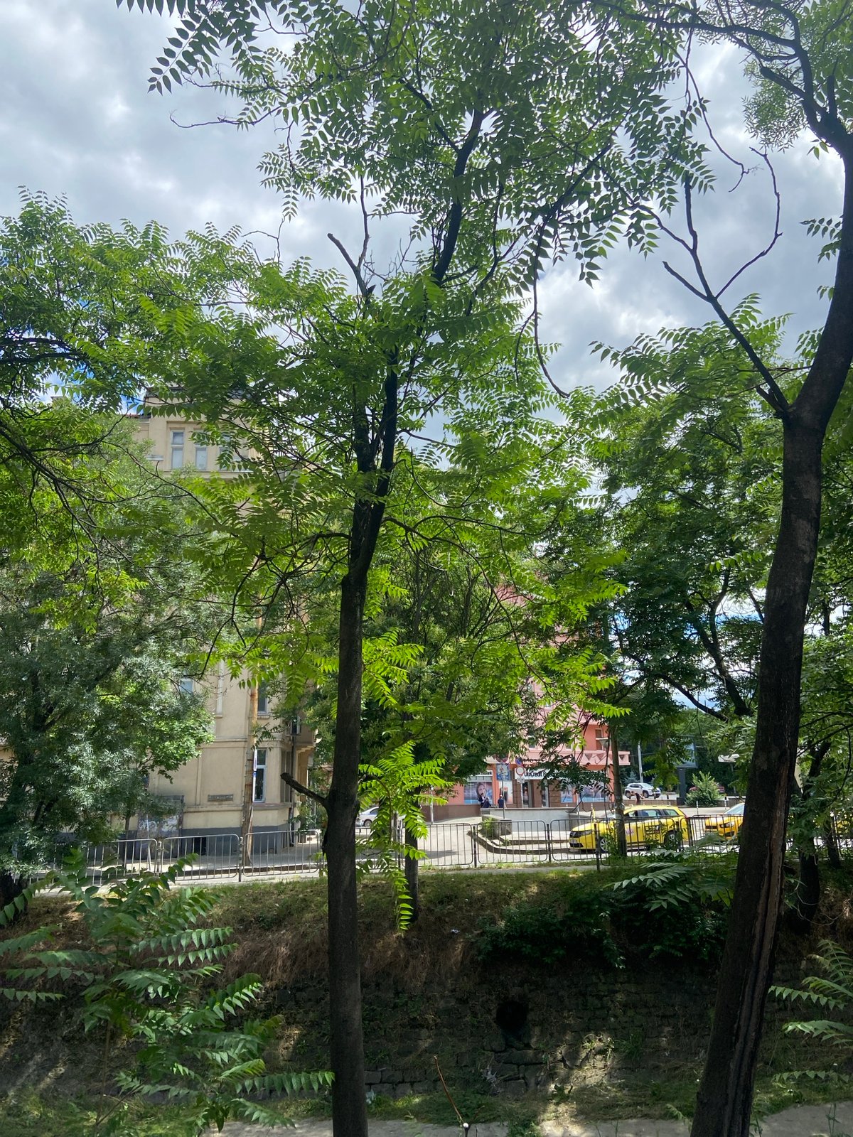 Street scenes and selfie captured in Sofia, Bulgaria