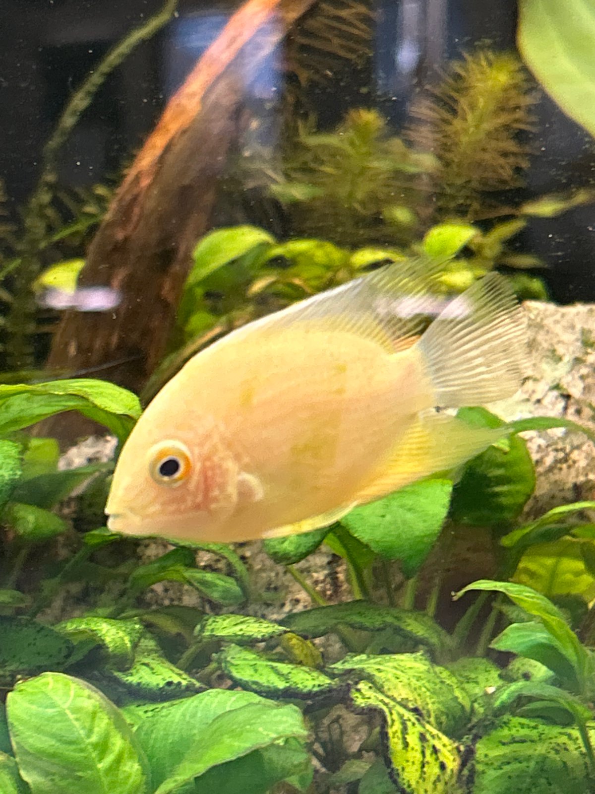 Zoo visit in Sofia captures aquarium fish and wildlife
