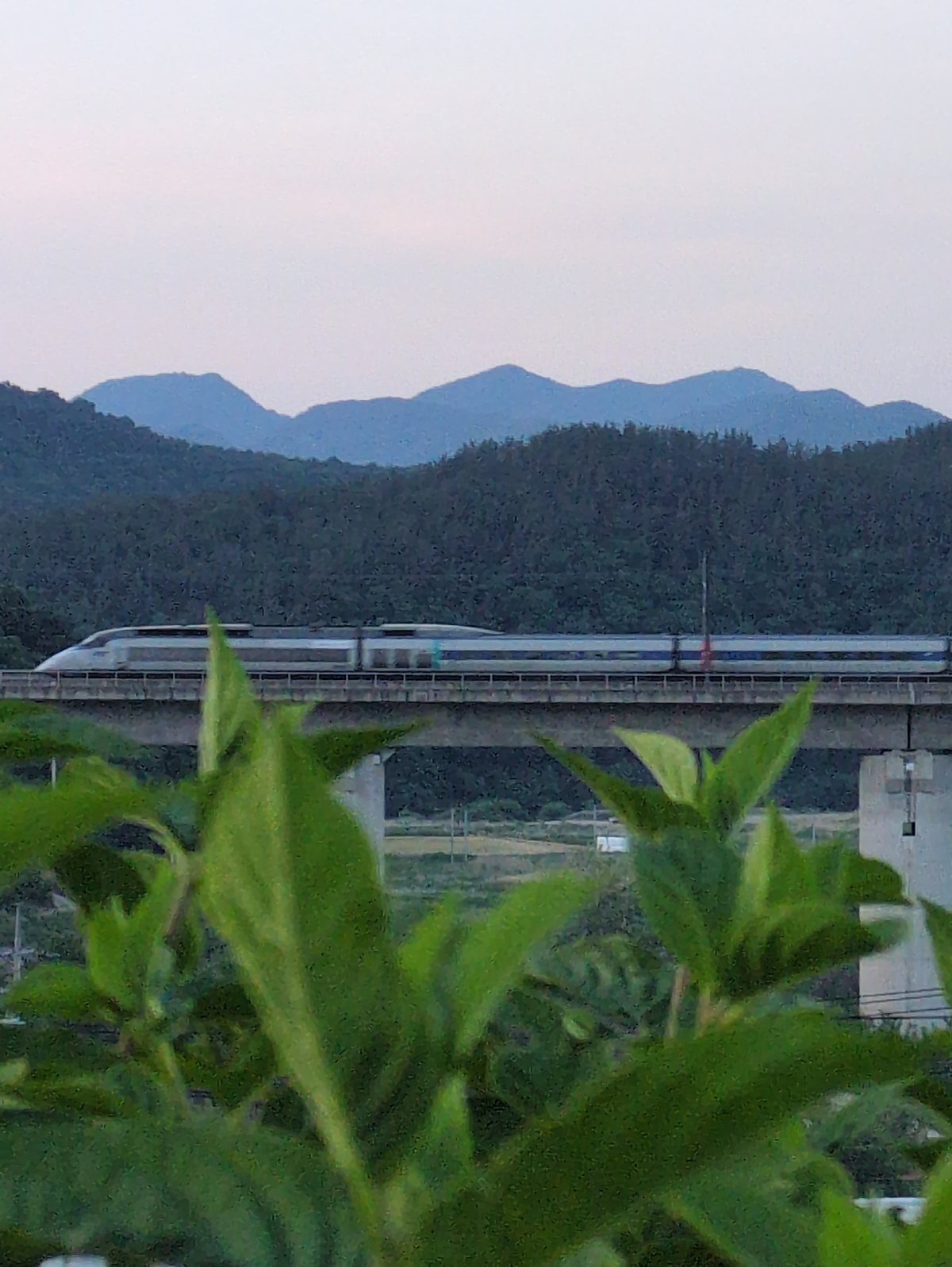 Modern train passes through blooming spring landscape in Iwon