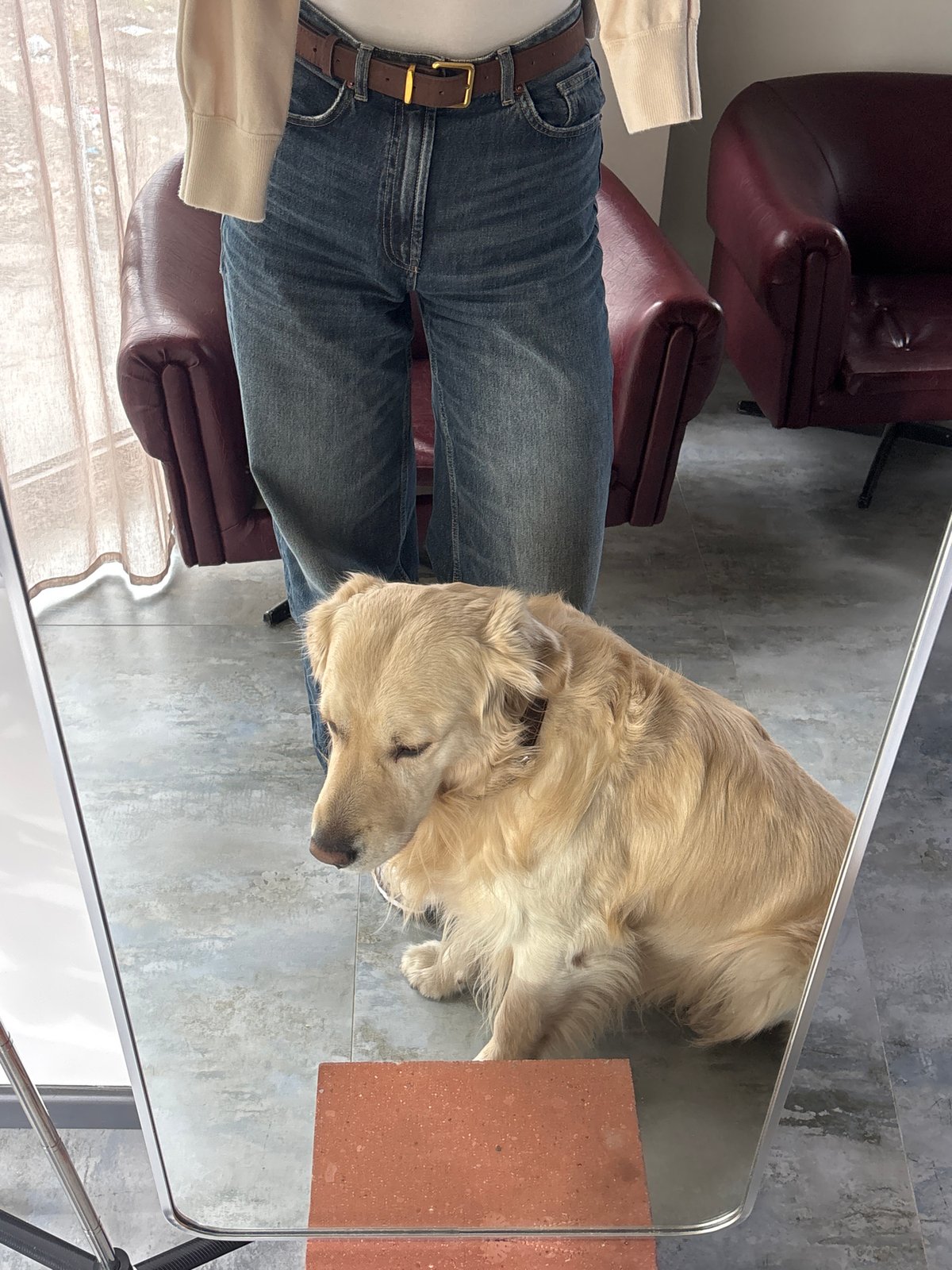 Woman and Golden Retriever take selfies together in Armenia