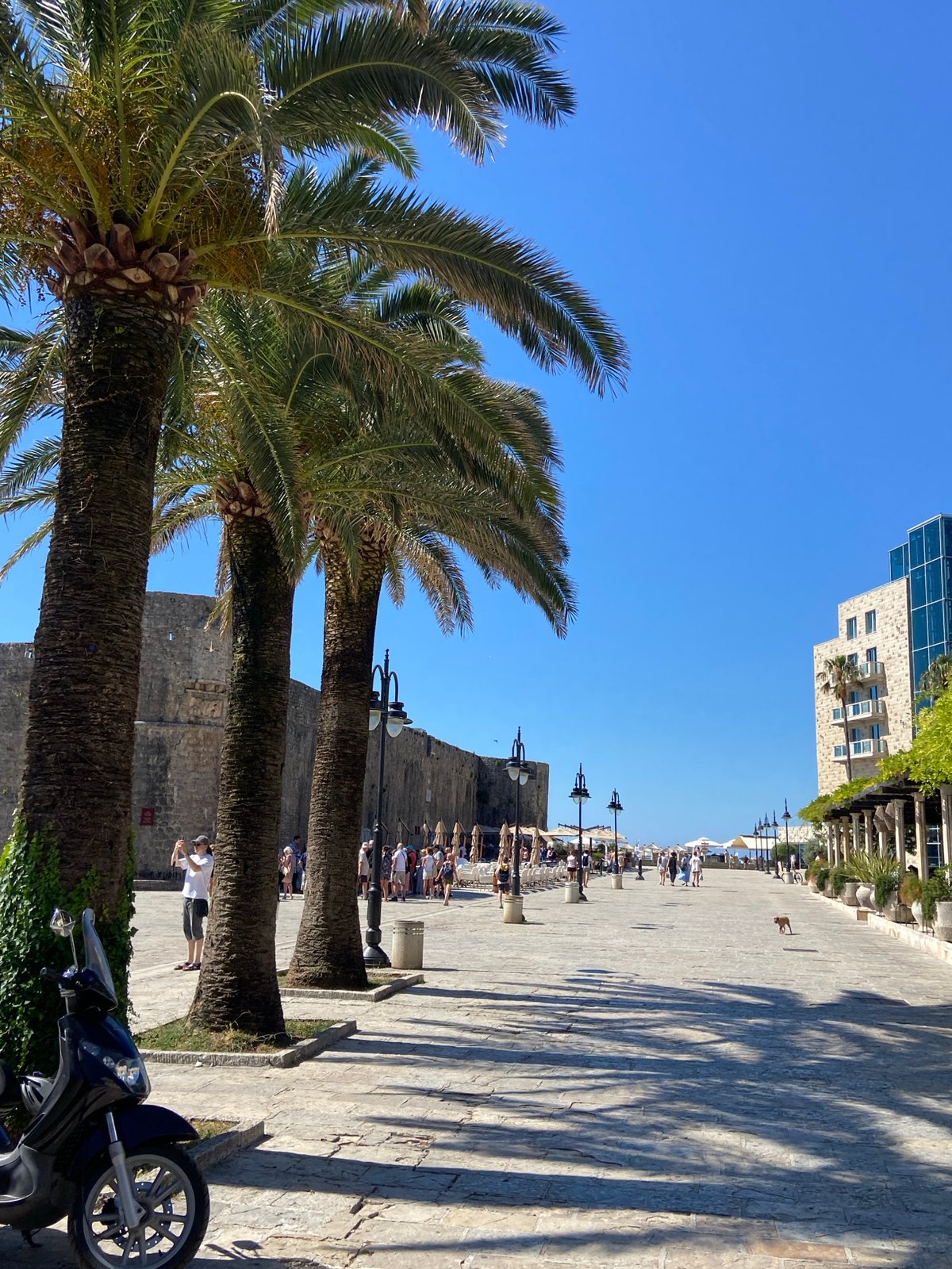 Budva's waterfront comes alive on a sunny summer morning