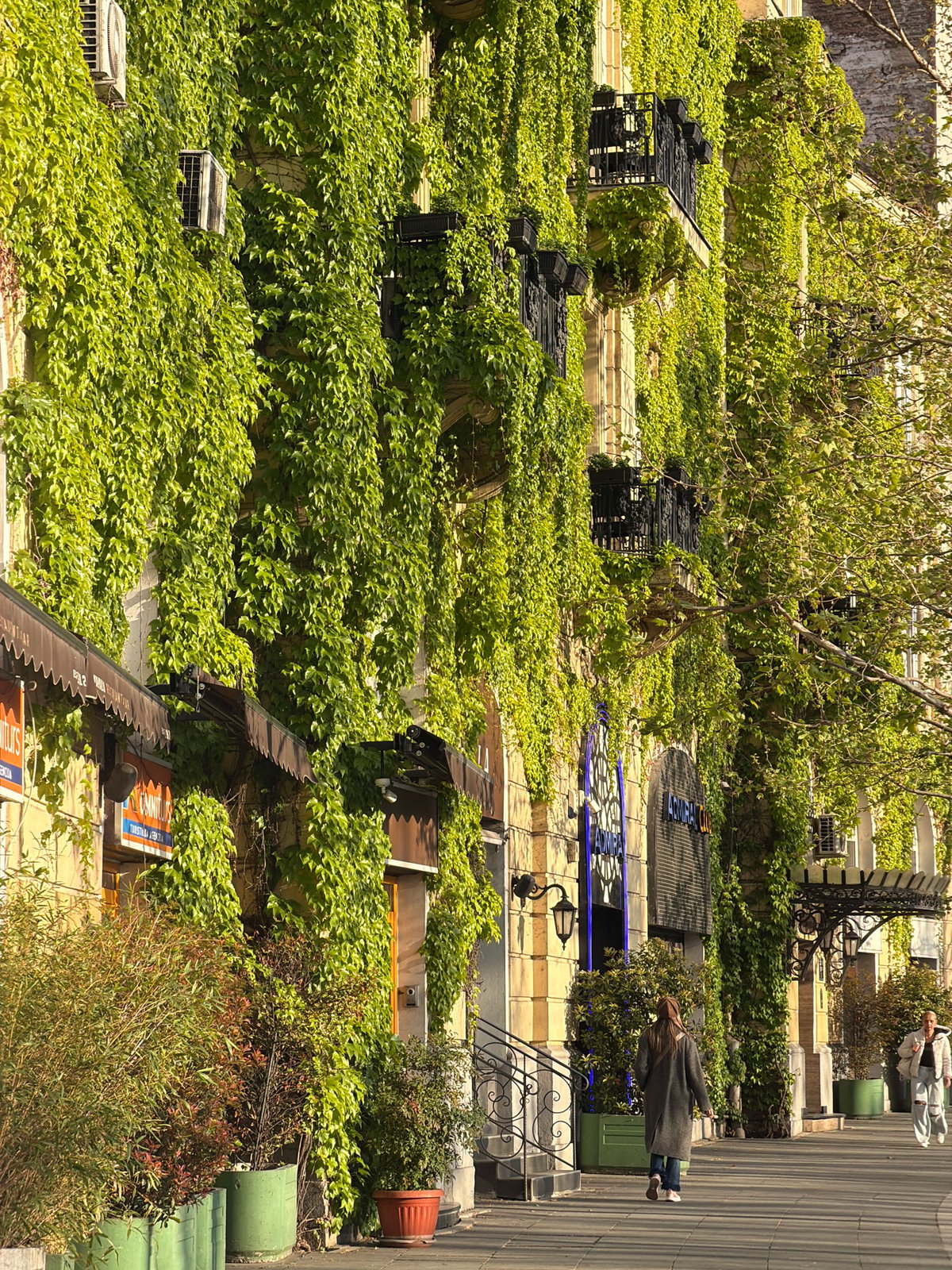 Spring afternoon captured in Belgrade's green Savamala district