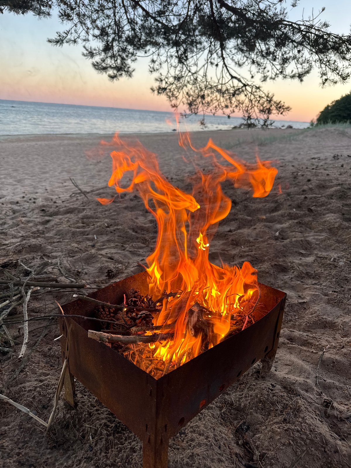 Beach camping evening at Zelenaya Roshcha with dogs and volleyball