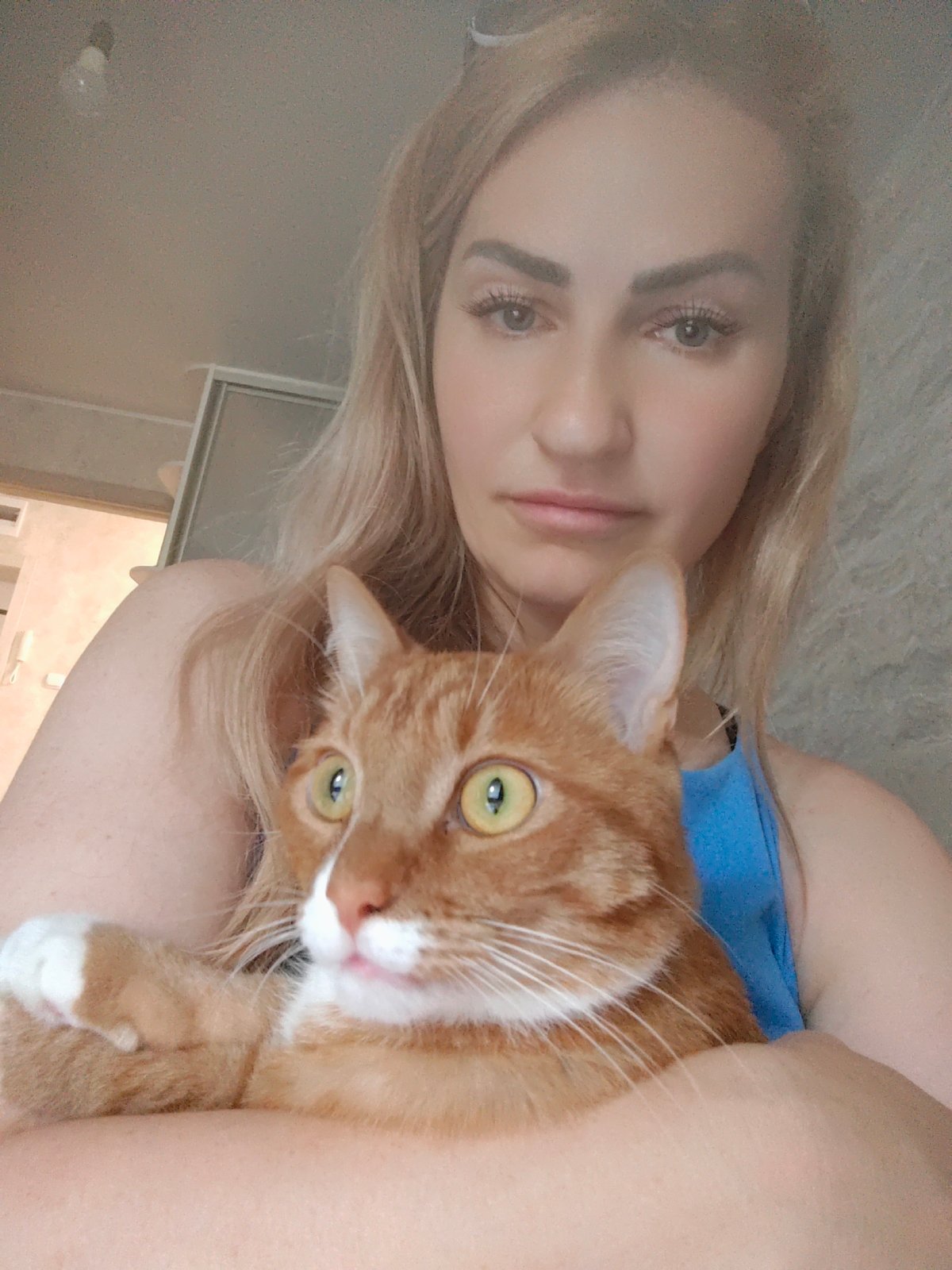 Orange tabby cat held close, multiple angles, Боровский