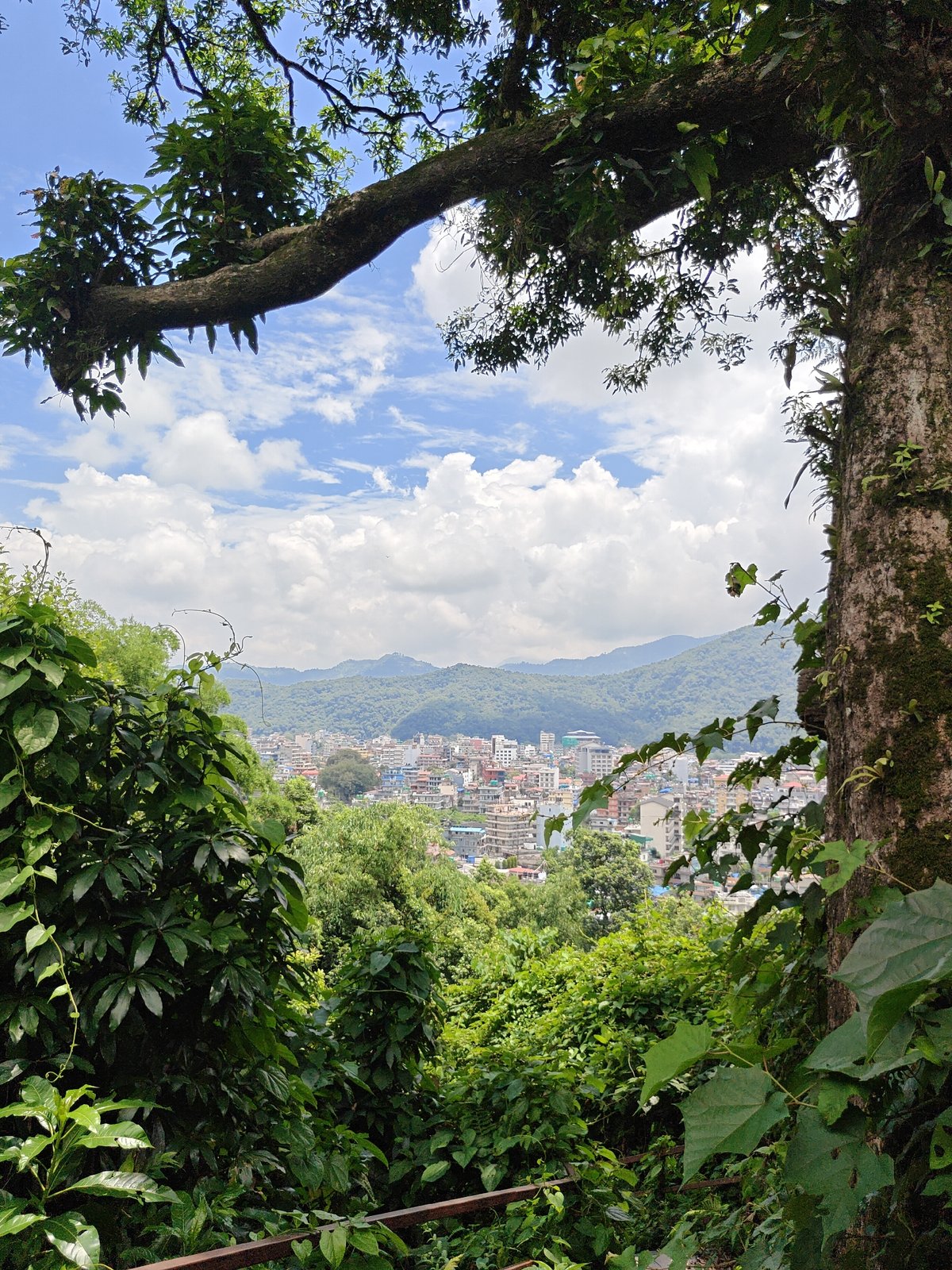 City views and a fallen moth in Pokhara, Nepal