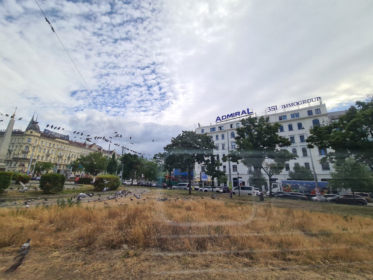 Vienna's tram network and street life, a July morning