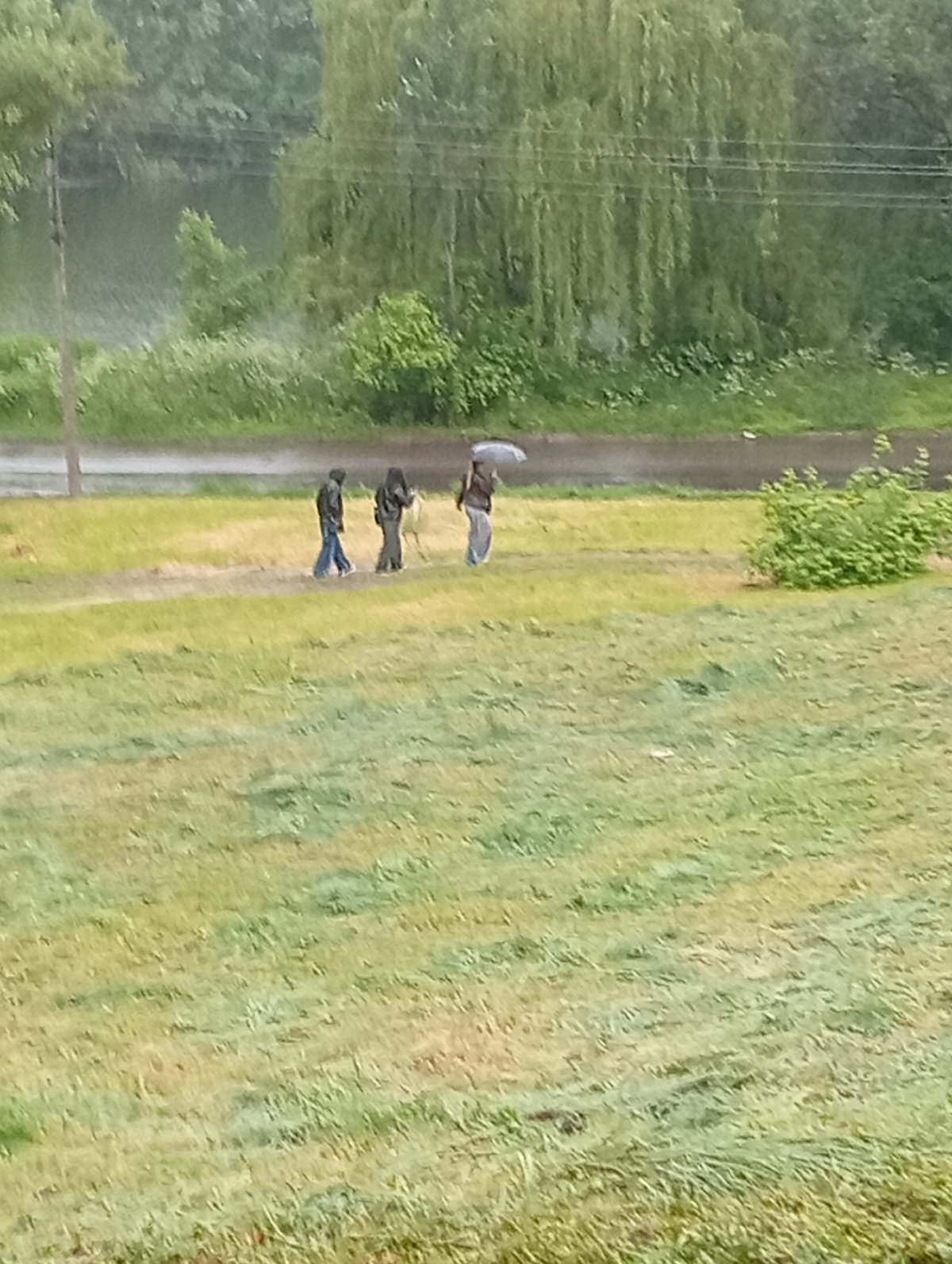 Rain floods Poltava streets as people explore abandoned buildings