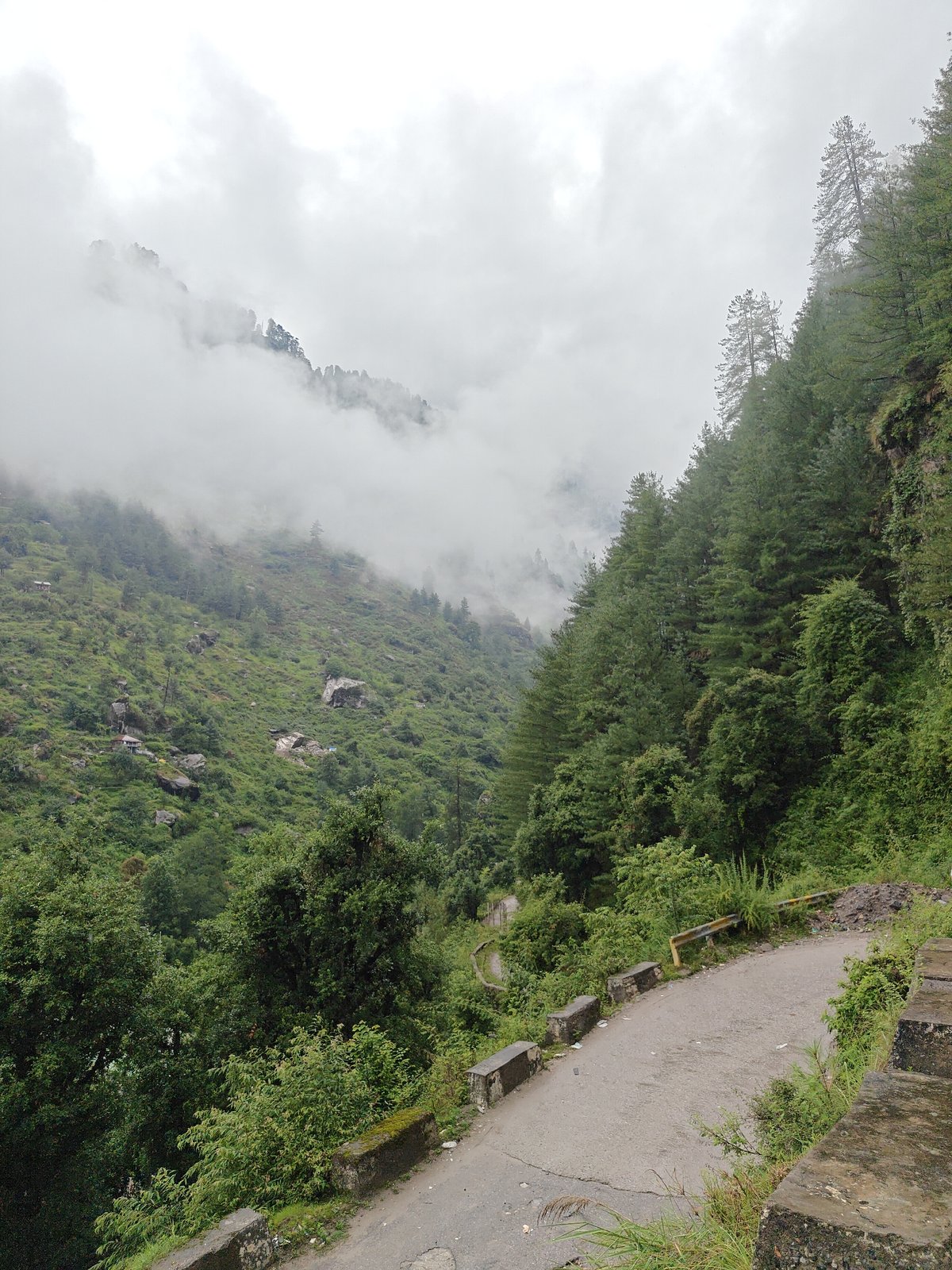 Misty mountain road and power infrastructure in Prini, Himachal Pradesh