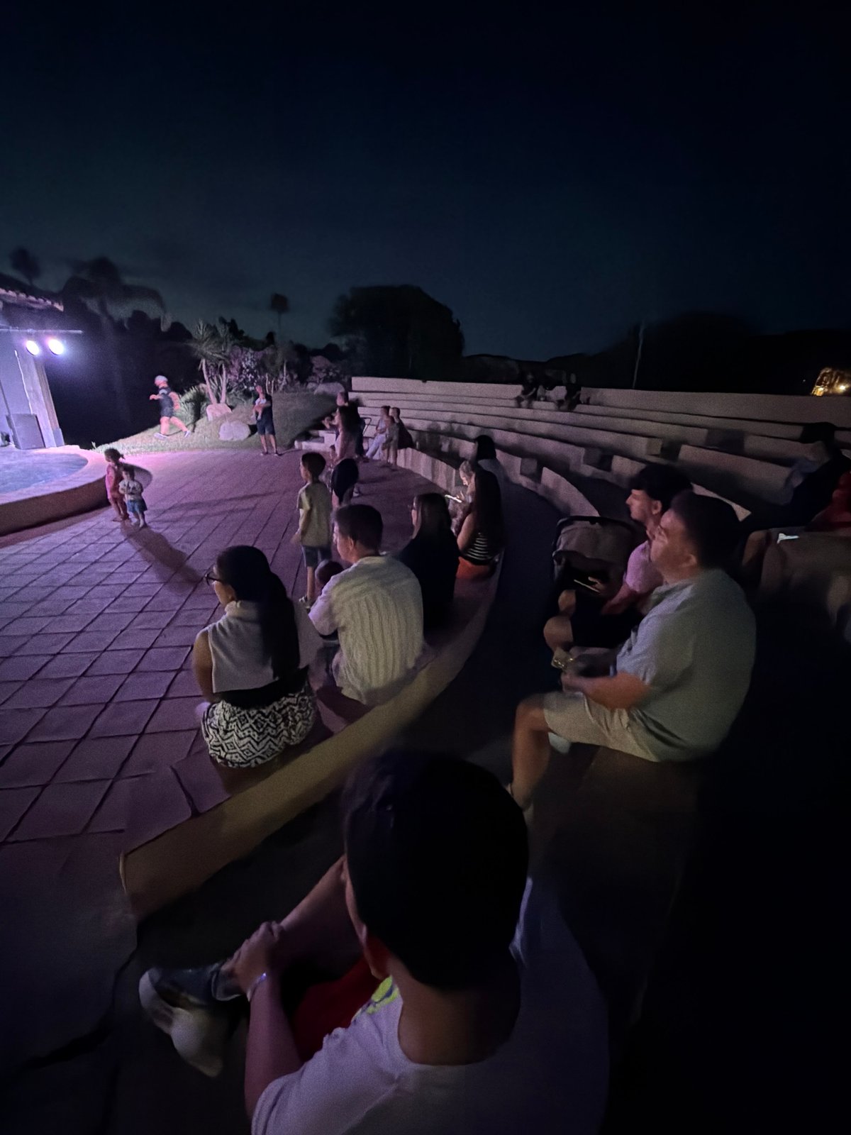 Live performance and dinner event in Cardedu, Sardinia